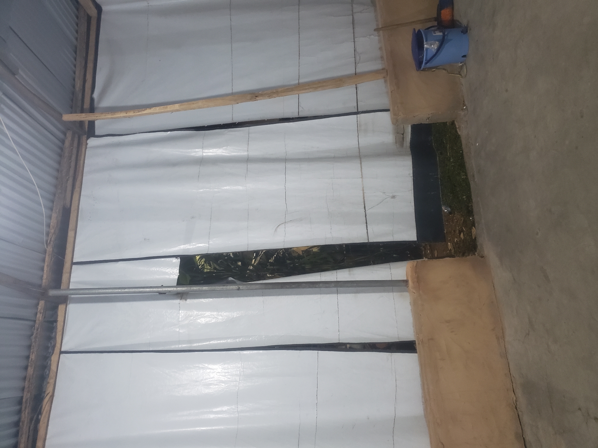 This image depicts the interior of a partially constructed or renovated structure, likely a shed or storage area, in Iganmu, Nigeria. The scene is characterized by construction materials and a utilitarian setting.
The primary subjects are the building materials. Large sheets of white material, possibly plastic sheeting or insulation, are used to cover the walls and ceiling. These sheets are secured with wooden planks and a metal pipe runs horizontally across the lower portion of the wall. A section of the wall is covered with a dark material featuring a camouflage pattern of green, brown, and black. In the upper right corner, a blue bucket hangs from a wooden support, with what appears to be a dark object attached to its handle. The floor is made of concrete.
There is no clear activity or event taking place in the image; it appears to be a static view of the construction site. Notable details include the use of corrugated metal on the left side, which suggests it might be an existing structure being modified. The lighting suggests it could be daytime, but the interior is somewhat dim. There are no visible people or overt signs of recent human activity. The overall impression is one of an unfinished or in-progress building project. No text is visible in the image.