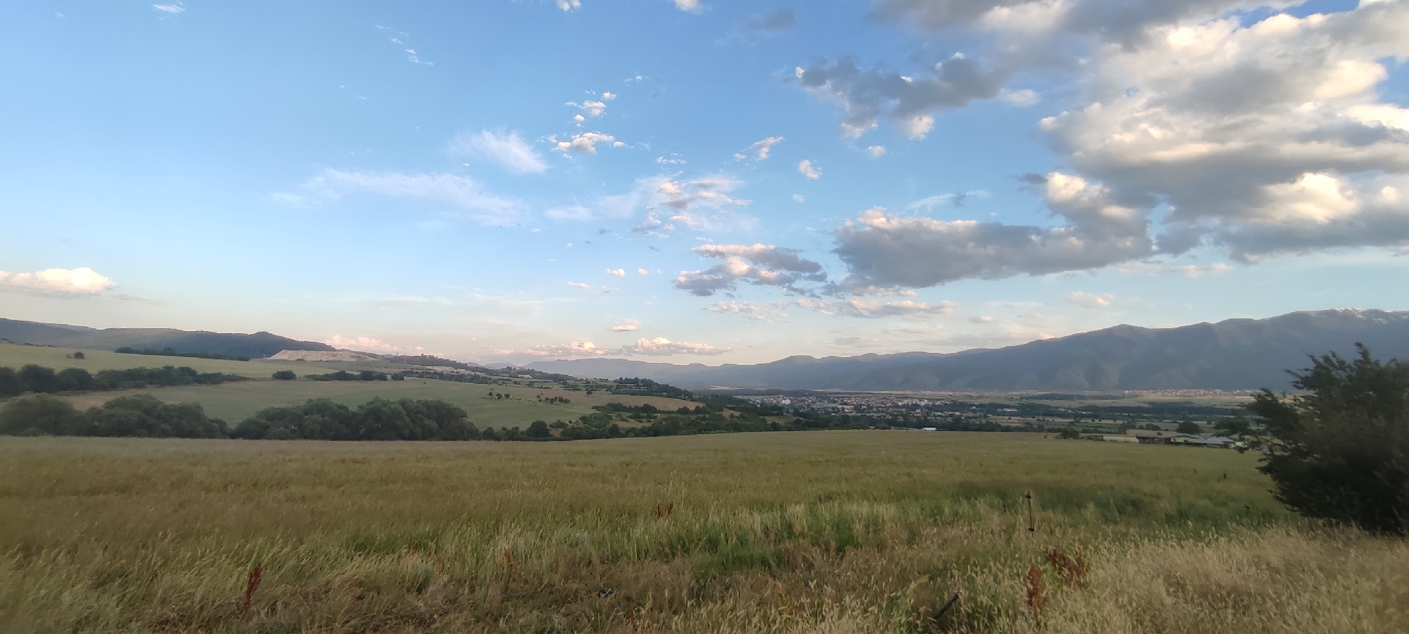 A wide-angle, landscape photograph captures a pastoral scene under a partly cloudy sky. In the foreground, a field of dry, golden grass extends across the frame, with some taller stalks and a hint of red vegetation visible. The middle ground features rolling green hills dotted with scattered trees and shrubs. A small cluster of buildings, likely part of the town of Momin Prohod, Bulgaria, is nestled in the valley between the hills and the distant mountains. The background is dominated by a range of dark, imposing mountains, their peaks softly illuminated by the fading sunlight. The sky above is a gradient of pale blue, transitioning to a warmer hue near the horizon, and is populated by scattered white and gray clouds, some wispy and others more dense. The overall impression is one of peaceful rural expanse at dusk.