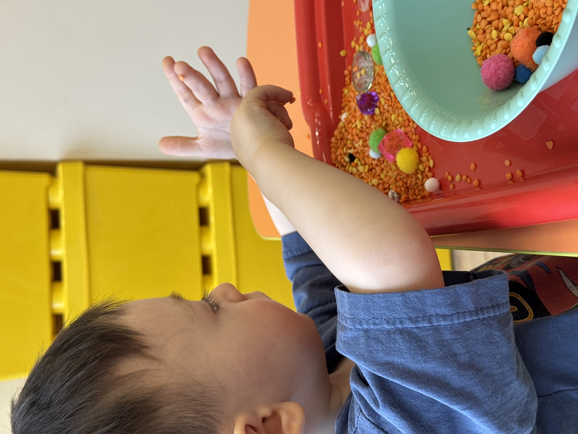 A young child, likely a toddler, is engaged in a sensory play activity indoors. The image is taken from a slightly elevated perspective, with the child's head and torso appearing on the left side, looking upwards and towards the right. Their left arm is extended into a red plastic tray filled with orange lentils.
The child has fair skin, dark, short hair, and long eyelashes. They are wearing a blue long-sleeved shirt, with a hint of a colorful patterned shirt underneath or on their back, possibly featuring a cartoon character. Their gaze is directed towards the activity, suggesting focus and engagement.
The red tray, placed on an orange surface (possibly a table), serves as the primary play area. It contains a substantial amount of orange lentils, along with various small, colorful objects. These include fuzzy pom-poms in shades of pink, orange, blue, white, black, green, and yellow, as well as clear and colored plastic gem-like stones (purple, red, green, yellow). A light blue or mint green plastic bowl or scoop, featuring a textured rim, is partially submerged in the lentils, suggesting scooping and pouring is part of the play.
In the background, to the left of the child, yellow modular furniture or storage units are visible, adding to the impression of a child-friendly environment. A light-colored wall forms the upper background. The lighting is soft and even, typical of an indoor setting during the daytime. The activity appears to be focused on tactile exploration and fine motor skill development. The scene takes place in Izhevsk, Russia. No visible text is present in the image.