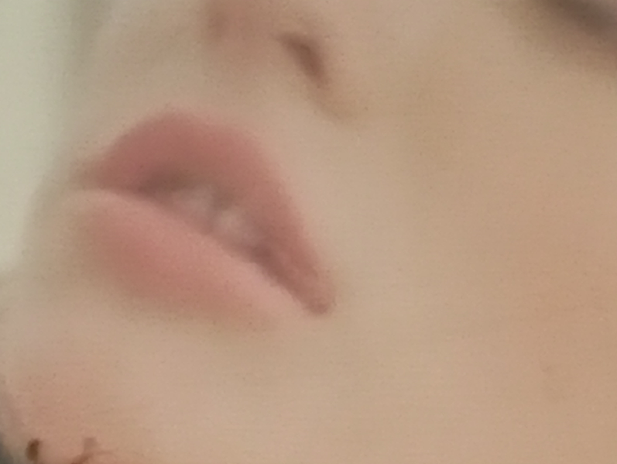 The image is a close-up, out-of-focus shot of a person's lips. The lips are painted with a matte pink lipstick. The skin tone is light. The background is blurred and appears to be a light, neutral color. No specific location in Sofiivska Borshchahivka, Ukraine, can be determined from the image.