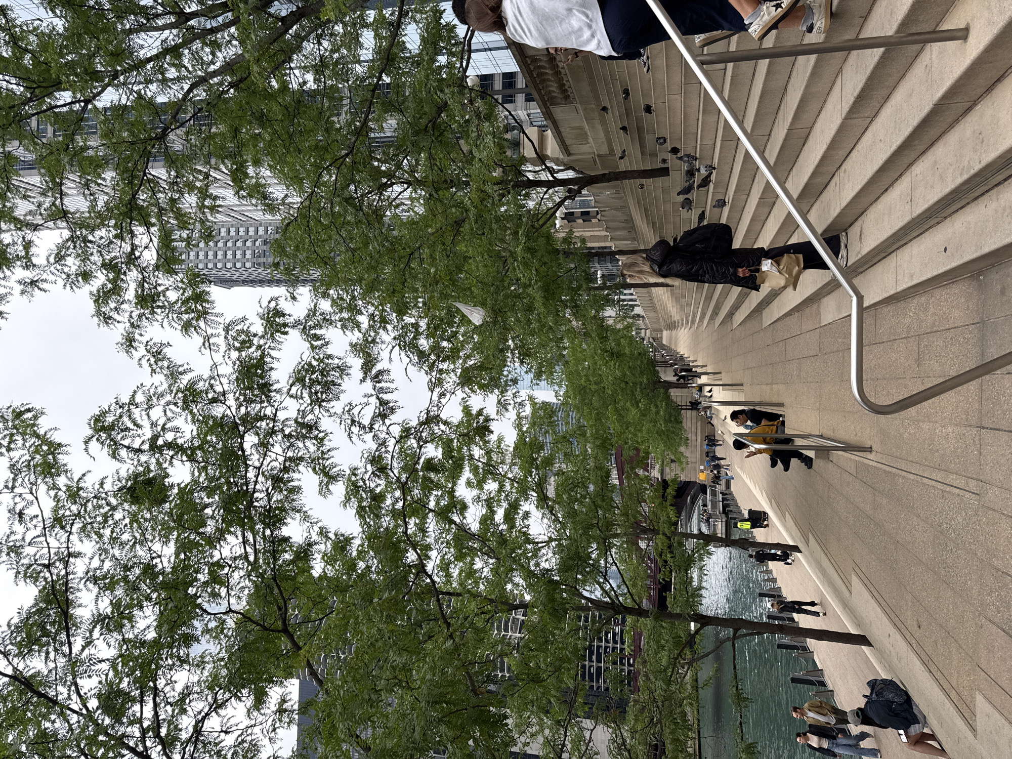 The image depicts a public walkway alongside the Chicago River in Chicago, Illinois, United States of America. The scene is characterized by a paved pathway with tiered stone steps leading up to a higher level, lined with metal handrails. Lush green trees with dense foliage are positioned along the pathway and partially obscure the view of tall buildings with modern architecture in the background. The Chicago River is visible on the left side of the image, with its water appearing a deep green. Several individuals are present in the scene, engaged in various activities such as walking, sitting, and standing. Some people are seen on the pathway, while others are on the steps. A flock of pigeons is scattered across the steps. One person in the foreground is walking up the steps, carrying a brown paper bag. Another person, partially visible, is standing on the steps, wearing a white top and dark pants. The sky is overcast.