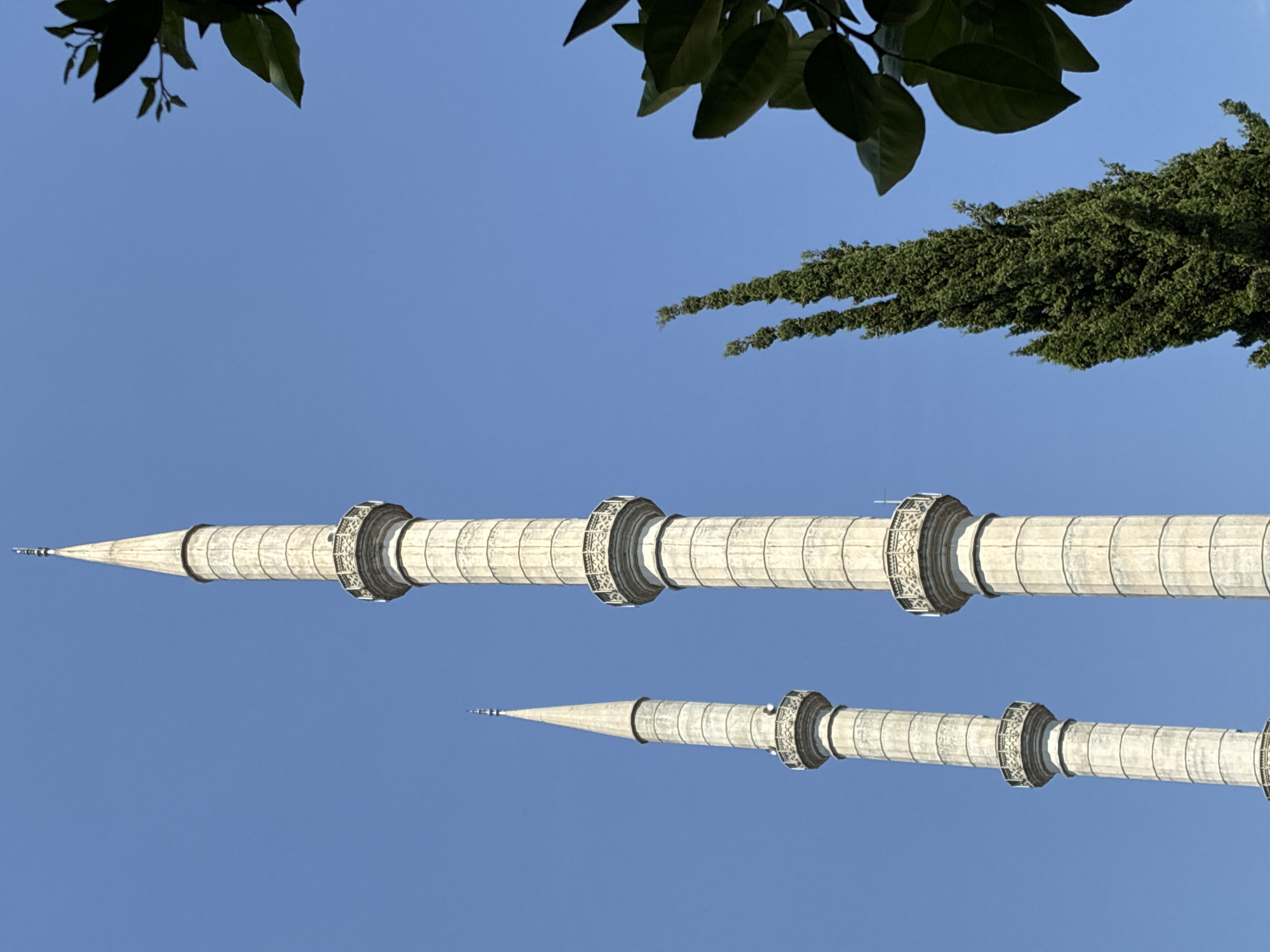 The image shows two tall, slender minarets of a mosque against a clear blue sky. The minarets are made of light-colored stone and have decorative balconies. In the foreground, to the right, are branches of a tree with dark green leaves. To the left of the minarets, a tall, slender evergreen tree is visible, also against the blue sky. The composition suggests these are part of a mosque in Alanya, Turkey, possibly the Red Tower Mosque given the iconic minarets. There are no people visible in the image. The scene is a bright, sunny day, with the architecture and foliage creating a contrast against the expansive sky.