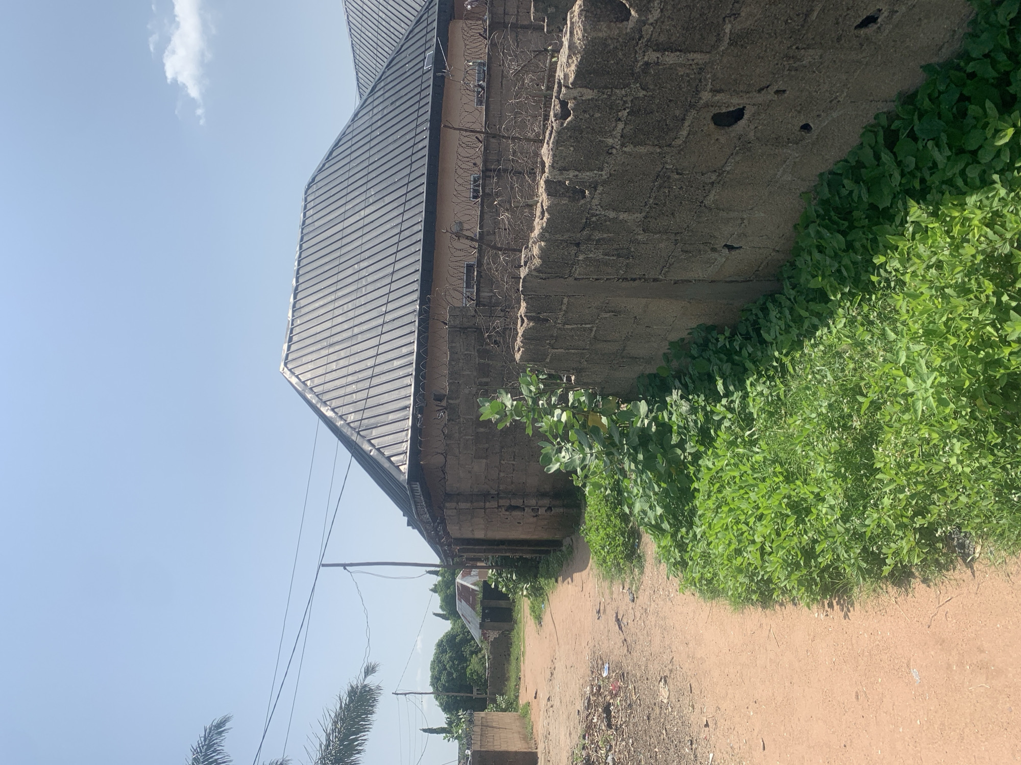 The image depicts a dusty, unpaved pathway in what appears to be a residential area in Jalingo, Nigeria. On the right side of the path, a tall, rough-hewn concrete block wall runs along the property line. This wall is topped with barbed wire, suggesting a security measure. Behind the wall, a building with a dark, corrugated metal roof is visible. Lush green vegetation, including bushes and taller plants, grows profusely along the edge of the path and at the base of the wall. The pathway itself is reddish-brown, indicating the soil type, and is littered with some debris, including pieces of plastic. Further down the path, another building with a rusted metal roof can be seen. The sky is clear and blue with a few wispy white clouds. A palm tree frond is visible in the upper left corner of the image. The overall scene conveys a sense of a warm, sunny day in a developing urban or semi-urban environment.