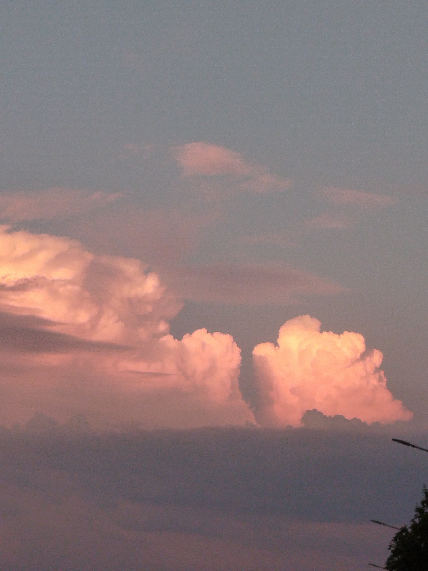 This image captures a twilight sky with fluffy, pink-tinged clouds against a muted blue-gray background. The clouds are illuminated from below, creating a warm glow. A darker layer of clouds forms a band across the lower portion of the image. In the bottom right corner, a silhouette of tree foliage and parts of two lampposts are visible. The scene appears to be an outdoor view, likely from a vantage point within or on the outskirts of Kitzingen, Germany, observing the natural atmospheric conditions.