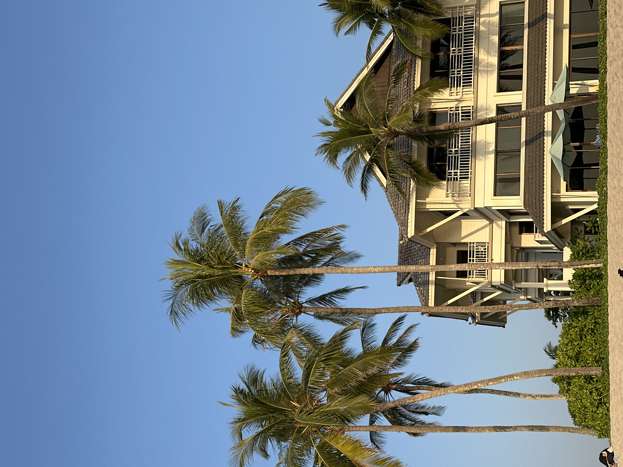 The scene depicts a multi-story building, likely a resort or hotel, situated in Choeng Thale, Thailand. The building features a cream-colored facade, dark-tiled roofs, and multiple balconies with white railings. Several tall palm trees with green fronds are prominently positioned around the structure and in the sandy foreground. Dense green foliage forms a lower layer of vegetation. The sky above is clear and bright blue. The foreground consists of a sandy area. Two light blue beach umbrellas are visible at the ground level of the building. Three individuals are present: one person is partially visible, reclining on the sand in the far left foreground; another person is seated under one of the umbrellas, wearing blue; and a third figure appears as a dark, indistinct shape on the sand near the right edge of the frame.