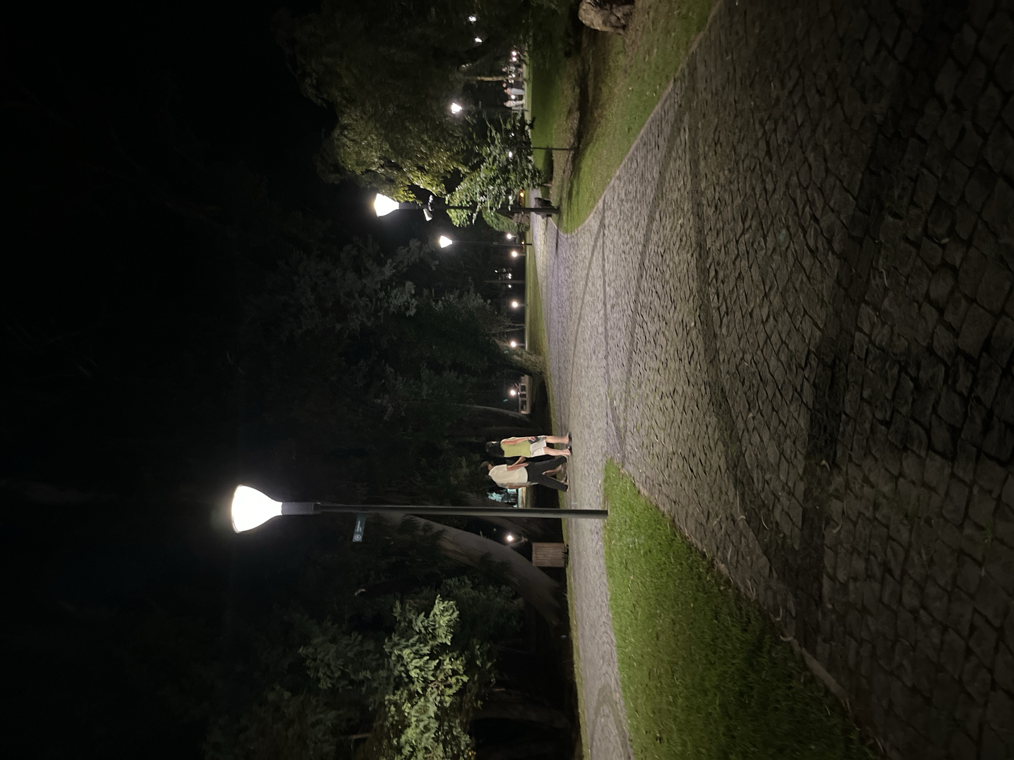 The image depicts a park pathway at night, illuminated by streetlights. The pathway is paved with dark cobblestones and is bordered by a grassy area and trees. In the foreground, the pathway curves to the right. In the middle ground, a couple walks away from the camera on the left side of the path. Further back, other figures are visible near lampposts and trees. The scene suggests a public park in Shekvetili, Georgia, during nighttime hours.