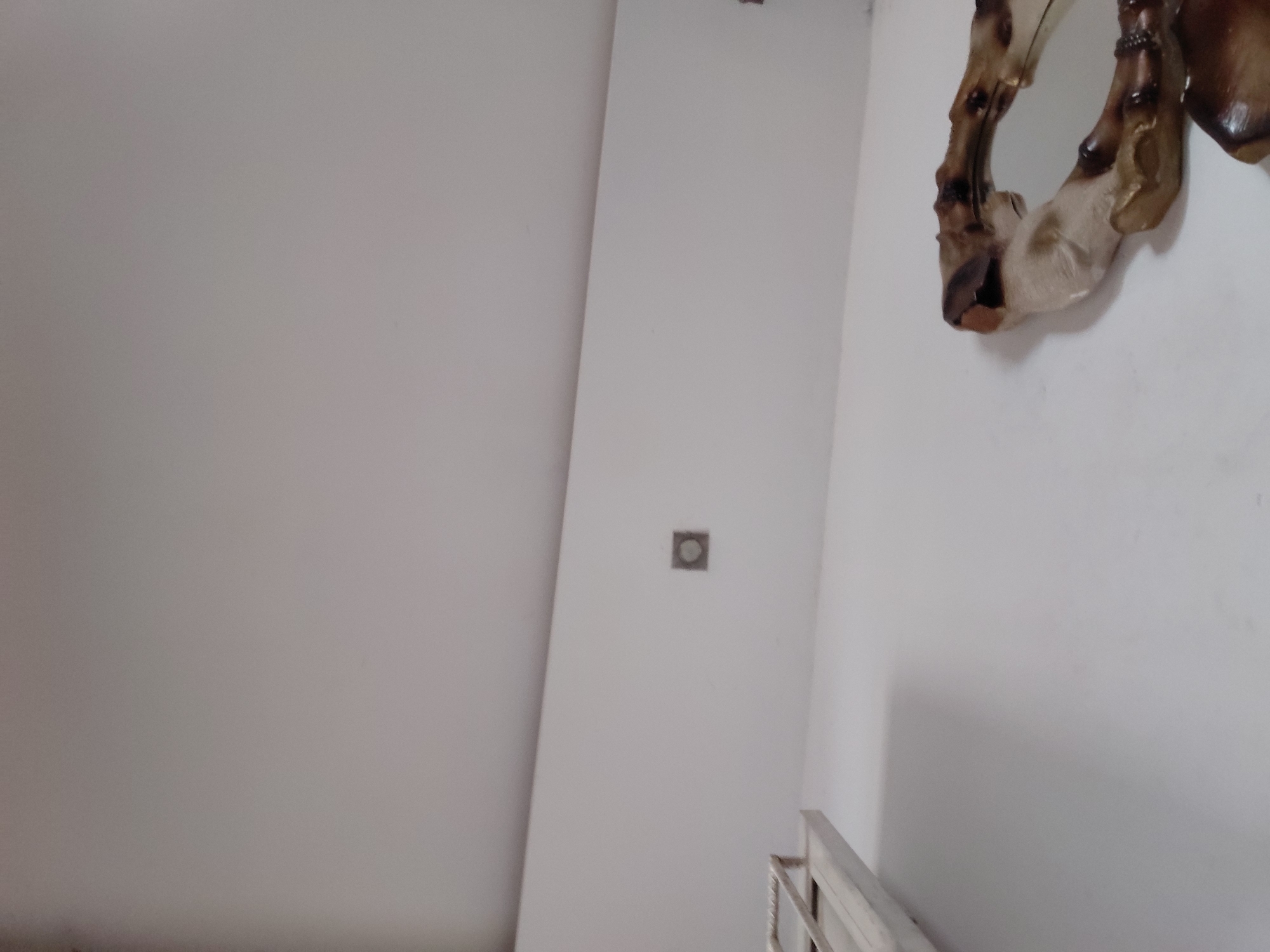 This image captures an indoor scene, likely a hallway or stairwell, within a building located in Santa Ana, Venezuela. The dominant features are the plain, light-colored walls, which appear white or very light gray.
On the upper right side of the frame, a decorative, carved object is mounted on the wall. This object has a textured, organic appearance, primarily in shades of brown, beige, and white, resembling part of an animal's head, possibly a horse or similar creature, with visible features like a snout and what could be part of an ear or mane.
Towards the center, on a tall, narrow vertical panel or wall section, there is a small, square, recessed box or outlet. In the bottom right corner, a portion of a metal railing is visible, suggesting the presence of a staircase or an elevated walkway.
No people are visible, and no specific activity is taking place; it is a static shot of an interior space. The lighting appears to be ambient, likely daylight filtering in or general indoor illumination, creating soft shadows. There is no visible text in the image.