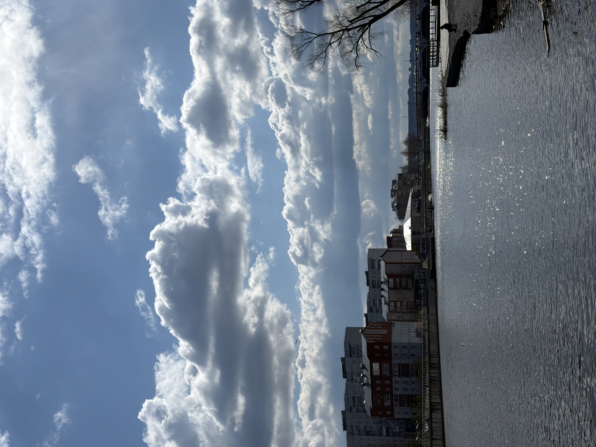 The image shows a waterfront scene in Votkinsk, Russia. The photograph has been rotated 90 degrees counterclockwise, so the sky is to the left and the water is to the right.
The sky is predominantly blue with long, elongated cumulus clouds. A single bird is visible within the cloud formation. Adjacent to the water is a row of tall apartment buildings, primarily gray and red brick. The water reflects sunlight, creating a shimmering effect. Bare tree branches extend from the top right of the frame. A wooden pier is visible along the edge of the water. In the distance, a bridge-like structure is also visible.