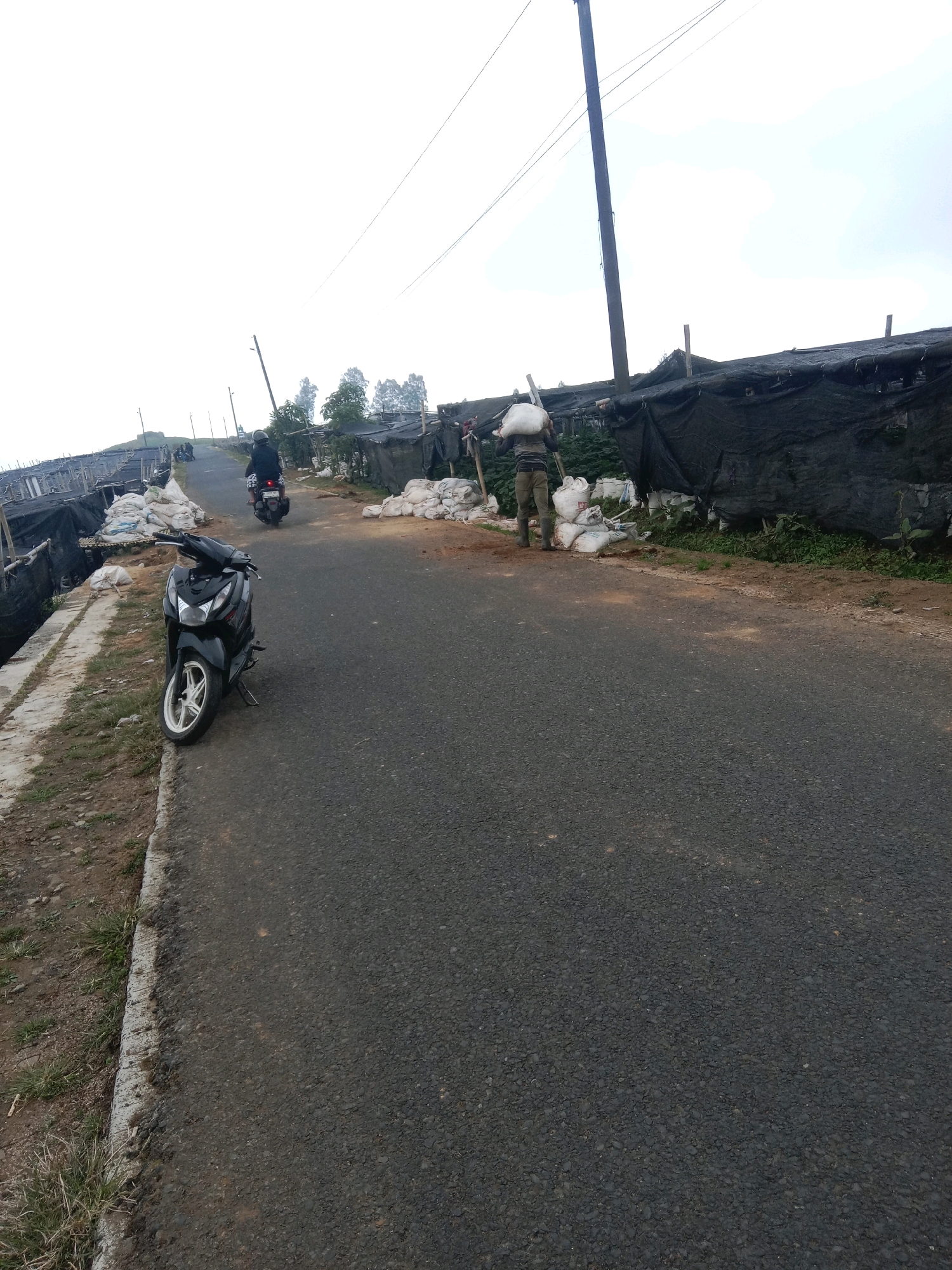 In Batur, Indonesia, a black motorcycle is parked on the side of a paved road. Further down the road, two people are visible. One person, wearing a helmet and dark clothing, rides another motorcycle away from the camera. The second person, carrying a large white sack over their shoulders, walks along the side of the road, past piles of white sacks. The road is bordered by a ditch and a concrete barrier on the left, and agricultural structures covered with black netting and more sacks on the right. The sky is overcast.
