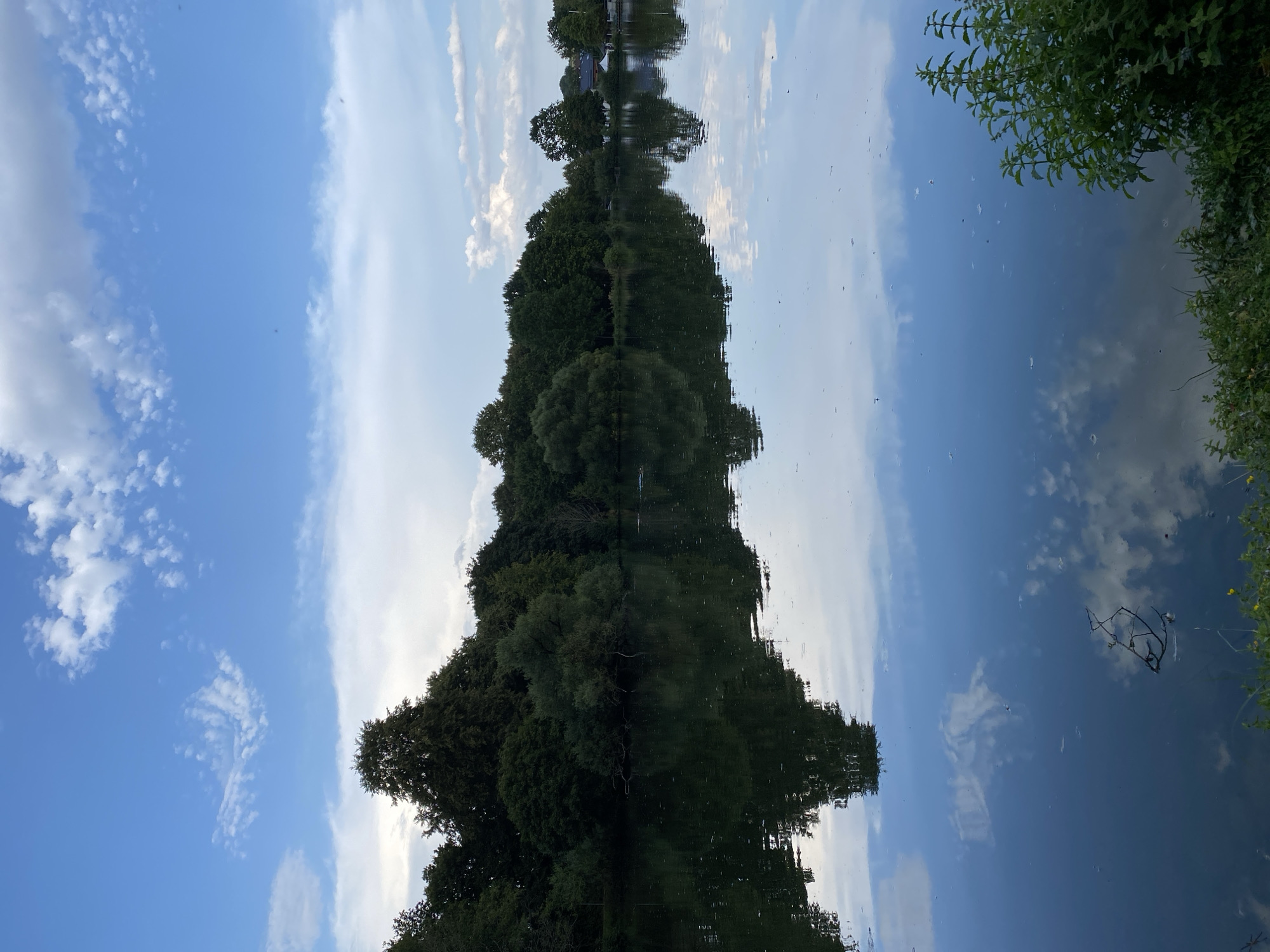 The image shows a serene lake reflecting the sky and a dense line of trees along its bank. The sky is partly cloudy with a mix of blue sky and white clouds. The trees are lush and green, creating a natural barrier along the water's edge. The lake's surface is calm, mirroring the trees and clouds with a slight ripple effect. On the far bank, some buildings and structures are visible, suggesting the proximity of a settlement. The foreground of the image features some green vegetation and grass on the bank of the lake. The overall impression is one of tranquility and natural beauty. This scene is consistent with the appearance of the lakes and surrounding areas in Urbach, Germany, which is known for its green landscapes and bodies of water.