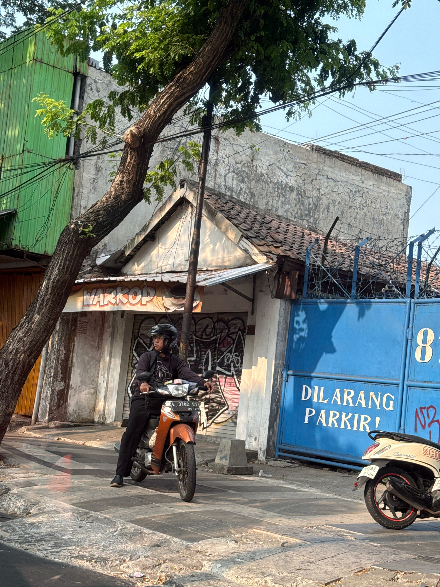 A man wearing a black shirt, black pants, and a black helmet rides an orange motorcycle. He is on a sidewalk next to a building with a green corrugated metal facade. Behind him, a blue metal gate is adorned with white lettering that reads "DILARANG PARKIR!" (which translates to "NO PARKING!"). The building has graffiti on its walls, and a tree with green leaves grows in front of it, its branches extending over the scene. Power lines are visible in the background, strung across a clear sky. Another white scooter is parked to the right of the blue gate. The ground is paved with gray tiles and stone. The scene appears to be a street in Surabaya, Indonesia.