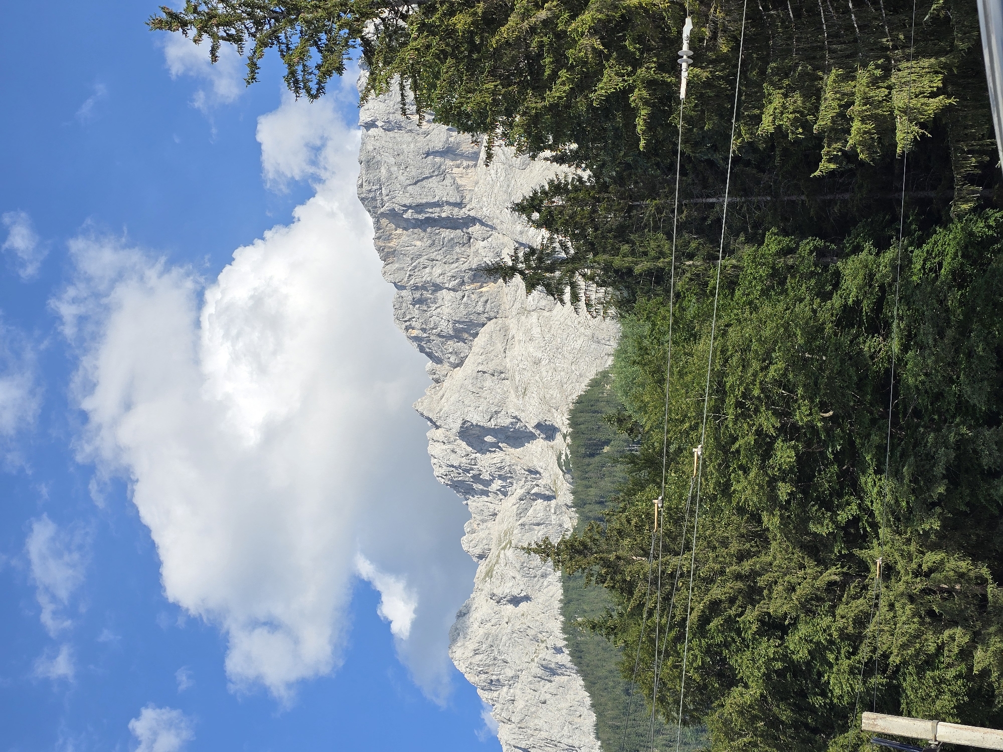 In Grainau, Germany, a vast mountain range dominates the background under a vibrant blue sky with scattered white clouds. The mountains are characterized by rugged, rocky faces and jagged peaks, suggesting a high altitude environment. In the foreground, a dense forest of tall evergreen trees, primarily pine and fir, creates a verdant barrier. Power lines with insulators are strung across the lower part of the frame, partially obscuring the trees. A simple concrete pole is visible on the left edge, indicating the presence of infrastructure. The scene captures a natural landscape with elements of human presence.