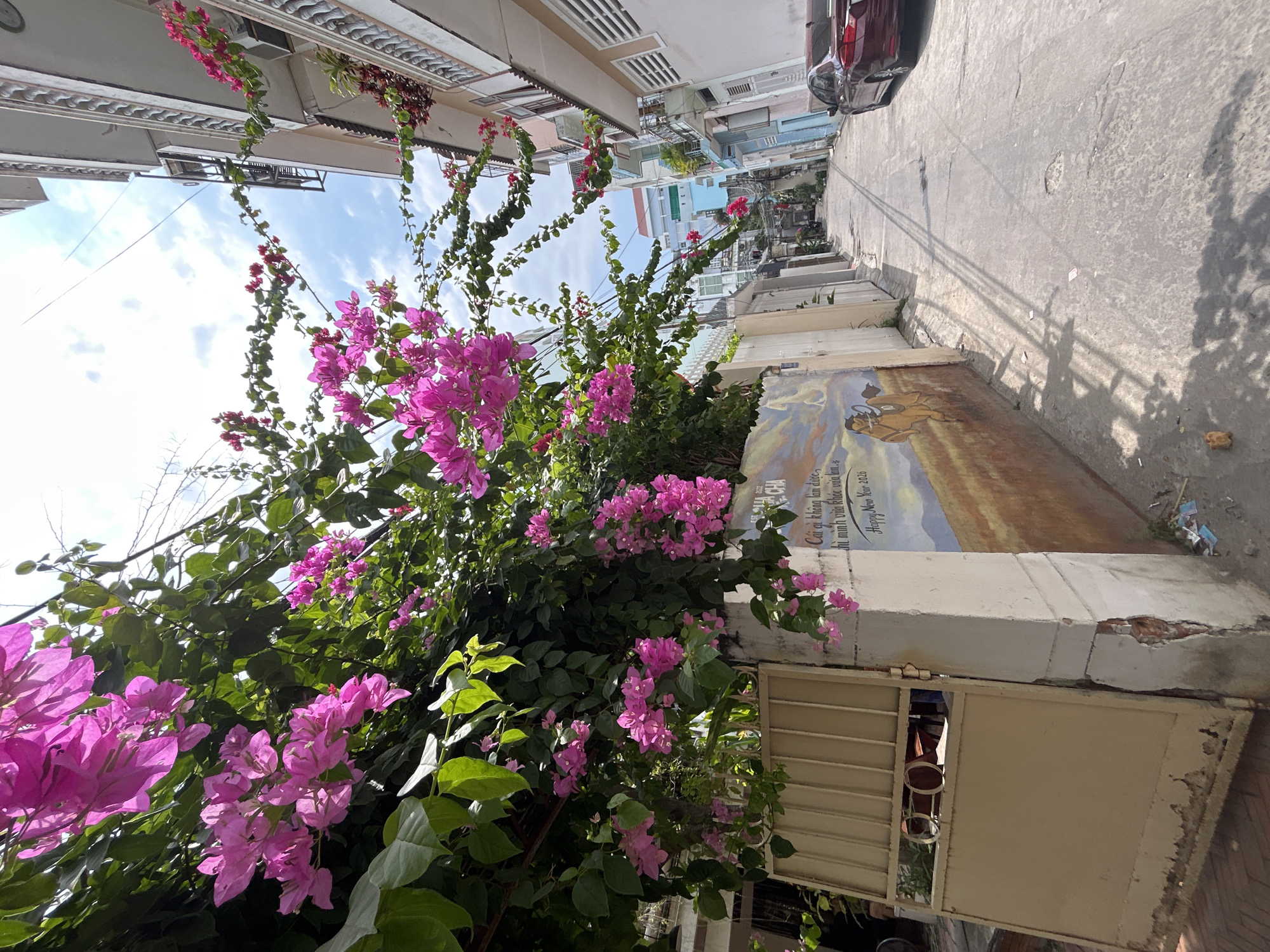 This image captures a vibrant street scene in Bắc Nha Trang, Vietnam, viewed from a low angle looking along a narrow thoroughfare. The most prominent subject is a large, flourishing bougainvillea plant adorned with numerous bright pink flowers, dominating the left foreground and extending upwards. Its lush green foliage provides a stark contrast to the colorful blossoms.
The street, appearing on the right side of the image, is a paved surface, likely concrete or asphalt, with distinct shadows of overhead lines or branches cast upon it, indicating bright sunlight. Multi-story residential buildings line both sides of the street, displaying varied architectural styles typical of urban Vietnamese homes, some with balconies and ornate details. A dark-colored car is partially visible parked further down the street on the right.
In the mid-ground on the right, a low, light-colored wall features a painted mural. The mural depicts a figure riding what appears to be a horse across a landscape, beneath a sky blending from blue to earthy tones. Above the mural, white text is painted on the wall. The Vietnamese text reads: "Cái gì không làm được thì mình cứ vừa khóc vừa làm." (Translation: "What cannot be done, just do it while crying and working."). Below this, "Happy New Year 2016" is written in English. A partially open, light-colored metal gate is visible beneath the mural wall, next to the bougainvillea.
The scene is bathed in sunlight under a clear, bright blue sky with scattered white clouds, suggesting a sunny daytime, likely late morning or early afternoon. The overall impression is that of a bustling yet peaceful residential street scene, characteristic of a Vietnamese city.