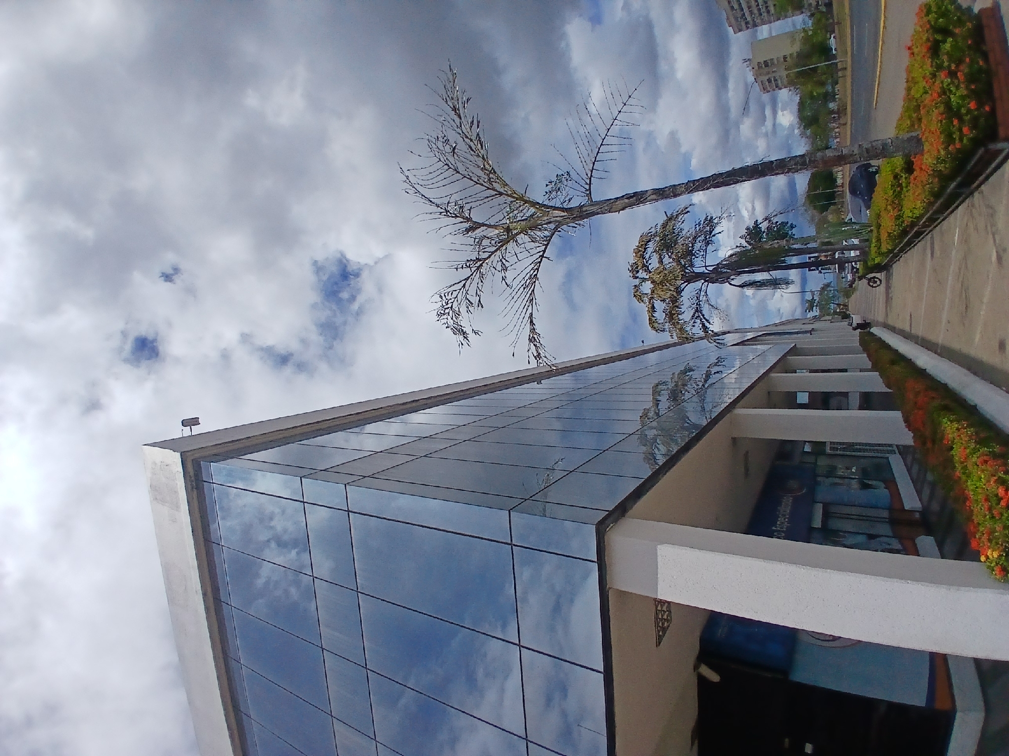 The image depicts a low-angle shot of a modern, glass-fronted building in Ciudad Guayana, Venezuela. The building's facade reflects the cloudy sky. A bare tree stands between the building and the sidewalk. The sidewalk is lined with a flowerbed containing orange flowers. In the background, a road, other buildings, and trees are visible. A few distant figures are visible on the sidewalk. A surveillance camera is attached to the building. A sign partially visible under the building supports reads something like "....tus Expectativas".