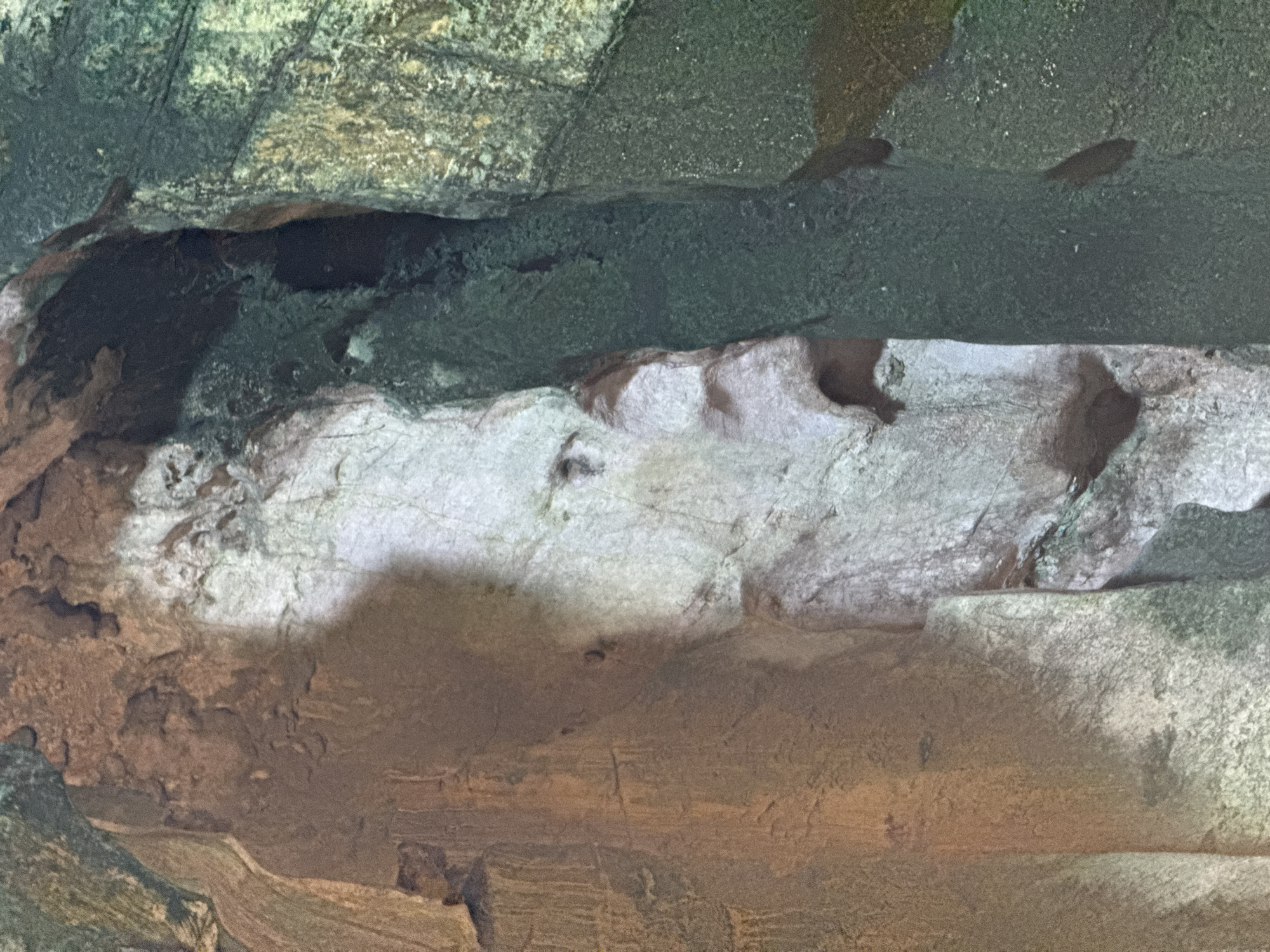 The image depicts an indoor rock formation, possibly a constructed cave or grotto. The color scheme is predominantly earth tones: brown, gray, and white. The rocks appear layered and textured. There are darker sections that suggest shadows or recesses. There are no people or other living creatures visible in the frame. There is no evidence of a specific location in Đà Nẵng, Vietnam, but it could be part of a tourist attraction or exhibit.