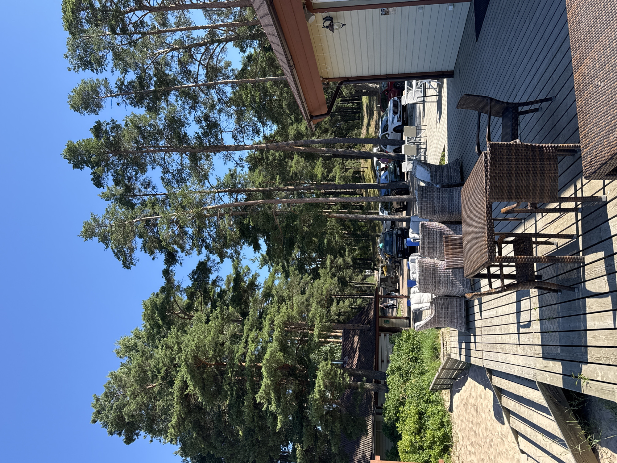 A sun-drenched outdoor seating area is depicted on a wooden deck overlooking a sandy beach and a dense forest of tall pine trees under a clear blue sky. In the foreground, rattan furniture, including chairs and tables, is arranged on the deck. To the left, the sandy beach stretches out, bordered by a wooden fence. Behind the deck and to the left, a low-rise building with a dark-tiled roof and wooden siding is visible, partially obscured by lush green bushes. Further back, a parking lot is filled with various cars, including SUVs and passenger vehicles. A few individuals are seen walking in the background near the parking area. The scene suggests a commercial establishment, possibly a cafe or restaurant, situated in a recreational area. The location is identified as Ozerki (Krasnodolinskaya), Russia.