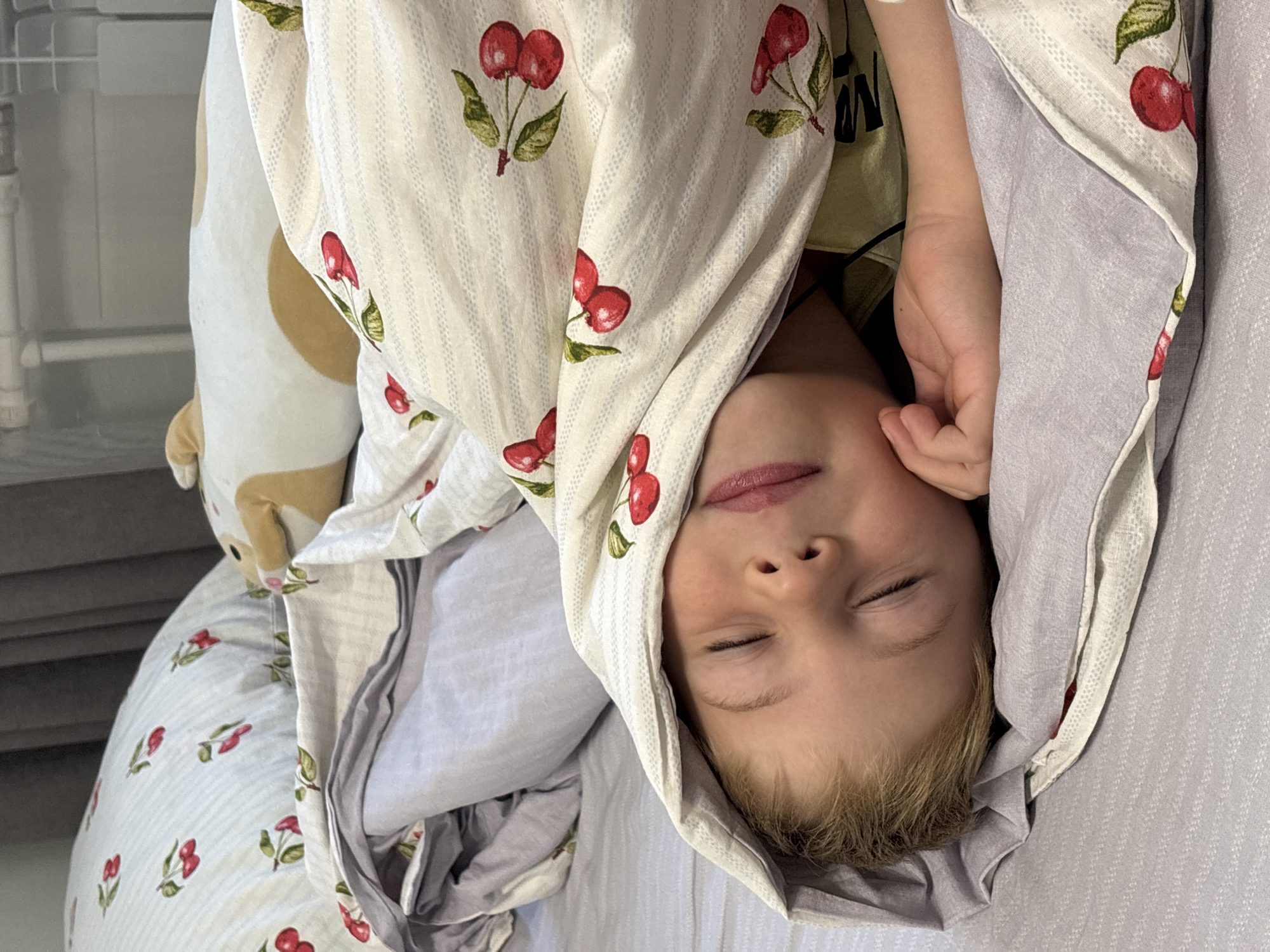 A young child sleeps peacefully in a bed, partially covered by a blanket adorned with a cherry pattern. The child's eyes are closed, and their right hand rests on their cheek. The bedding appears to be light-colored, with hints of grey and a white pillow with a striped pattern and cherry accents. A stuffed animal, possibly a dog, is visible in the background. The overall scene suggests a comfortable and domestic environment, likely a bedroom. The image does not provide any specific information about the location in Rusanovo, Russia, beyond it being a residential setting.