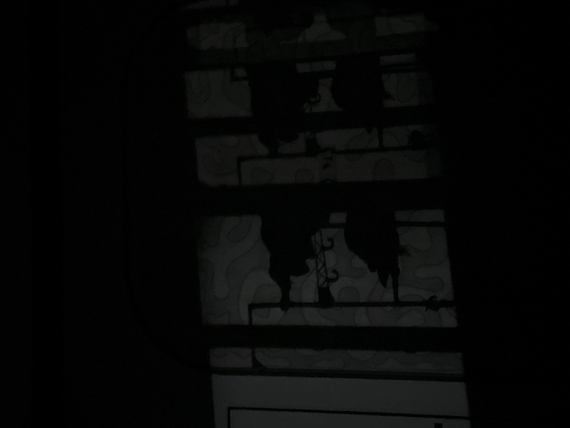 The image depicts a dimly lit interior, likely a room, with a window covered by bars. The bars create a grid-like pattern across the scene. Through the window, a patterned wallpaper is faintly visible. Silhouettes of objects are cast against the wallpaper, creating a shadow play. These silhouettes appear to be of decorative items, possibly bottles or vases, arranged on shelves. The overall impression is one of low light conditions, possibly at night or in a poorly lit space, with shadows obscuring finer details of the objects and the room. The location in Tuzdybastau, Kazakhstan, is not visually apparent from the image itself; this information is contextual.