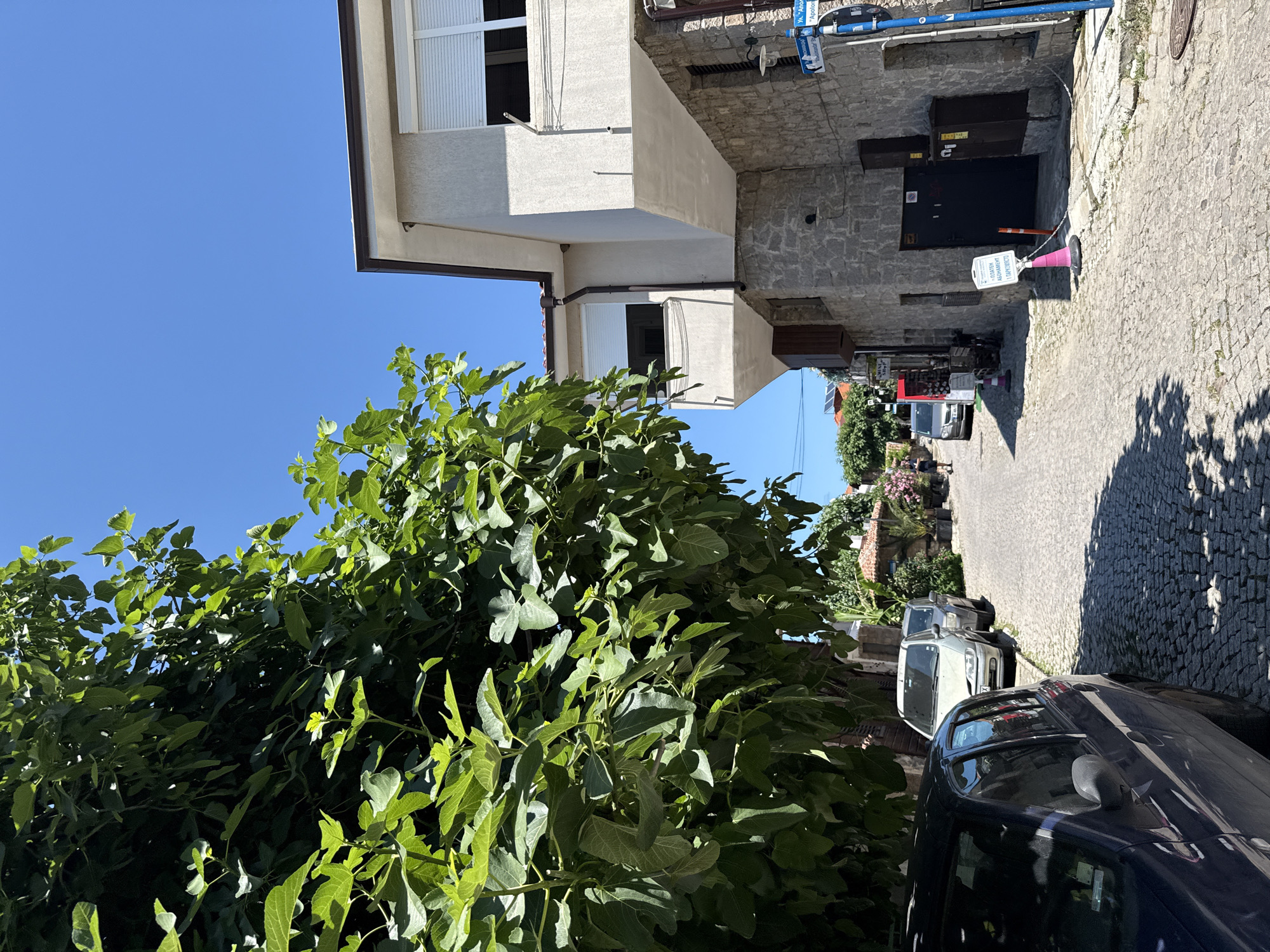 The image depicts a sun-drenched, narrow cobblestone street in the historic Old Town of Sozopol, Bulgaria. A large, leafy tree with lush green foliage dominates the left side of the frame, casting dappled shadows on the street and the parked cars.
On the right side of the street, a multi-story building with a stone-clad lower level and a light-colored upper level is visible. This building features windows with closed white roller shutters and a balcony-like protrusion on the upper floor. Adjacent to it, several parked cars are lined up along the street. The first car closest to the viewer is a dark blue sedan. Further down the street, a silver hatchback and another car are parked.
The street itself is paved with uneven cobblestones, characteristic of historic European towns. In the background, more buildings and greenery are visible, suggesting a densely populated area. A few pedestrians can be seen walking further down the street, adding a sense of life to the scene. One person is walking away from the camera on the left side of the street, while another is further in the distance on the right.
Signage is present, including a blue street sign with text and a white sign with Bulgarian text on a pink cone, indicating paid parking. The sky is a clear, bright blue, indicative of a sunny day. The overall atmosphere is peaceful and picturesque, capturing the essence of a summer day in a charming old town.