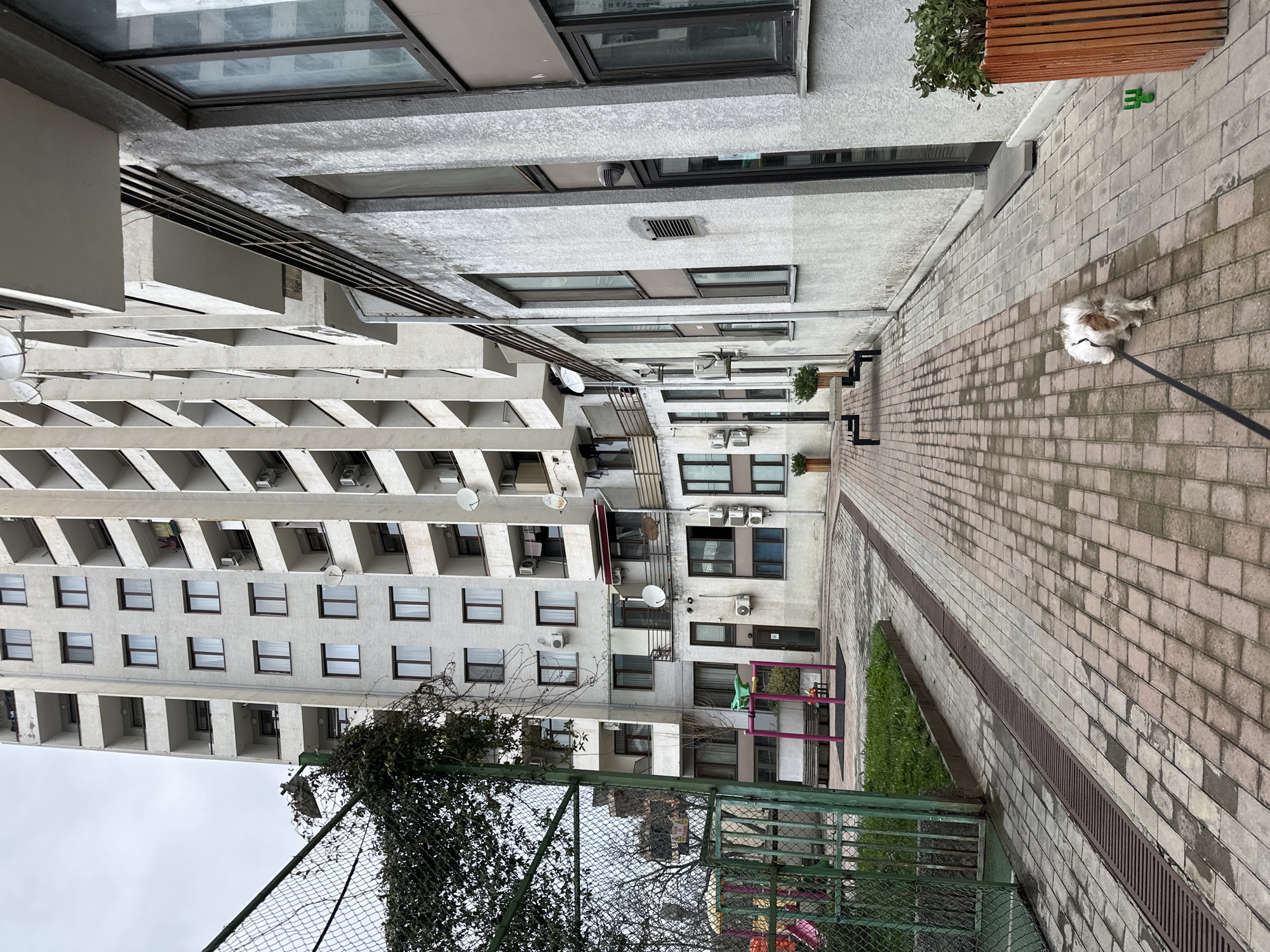 The image depicts a residential urban scene in the city of Tbilisi, Georgia, under an overcast sky. A tall, multi-story apartment building with a light grey concrete facade dominates the background, featuring numerous stacked balconies, rectangular windows, external air conditioning units, and satellite dishes. To the right, a lower, two-story building with a similar concrete finish and large dark-framed windows stands alongside a paved pathway.
In the foreground, a small, white and light brown dog on a black leash walks along the reddish-grey paved path, moving away from the viewer towards the background. The pathway features a long metal drainage grate running parallel to a strip of green grass on the left. This grass strip borders a green chain-link fence, partially covered in dark green ivy. Through an open section of the fence, a children's play area with colorful equipment is visible. Near the fence, on the paved area, a pink metal exercise structure is present.
Along the right side of the path, several dark-framed benches and tall, slatted wooden planters containing green plants are positioned. A small green plastic garden tool or toy lies on the pavement near a planter in the lower right corner. The buildings exhibit signs of weathering and dirt accumulation on their facades.