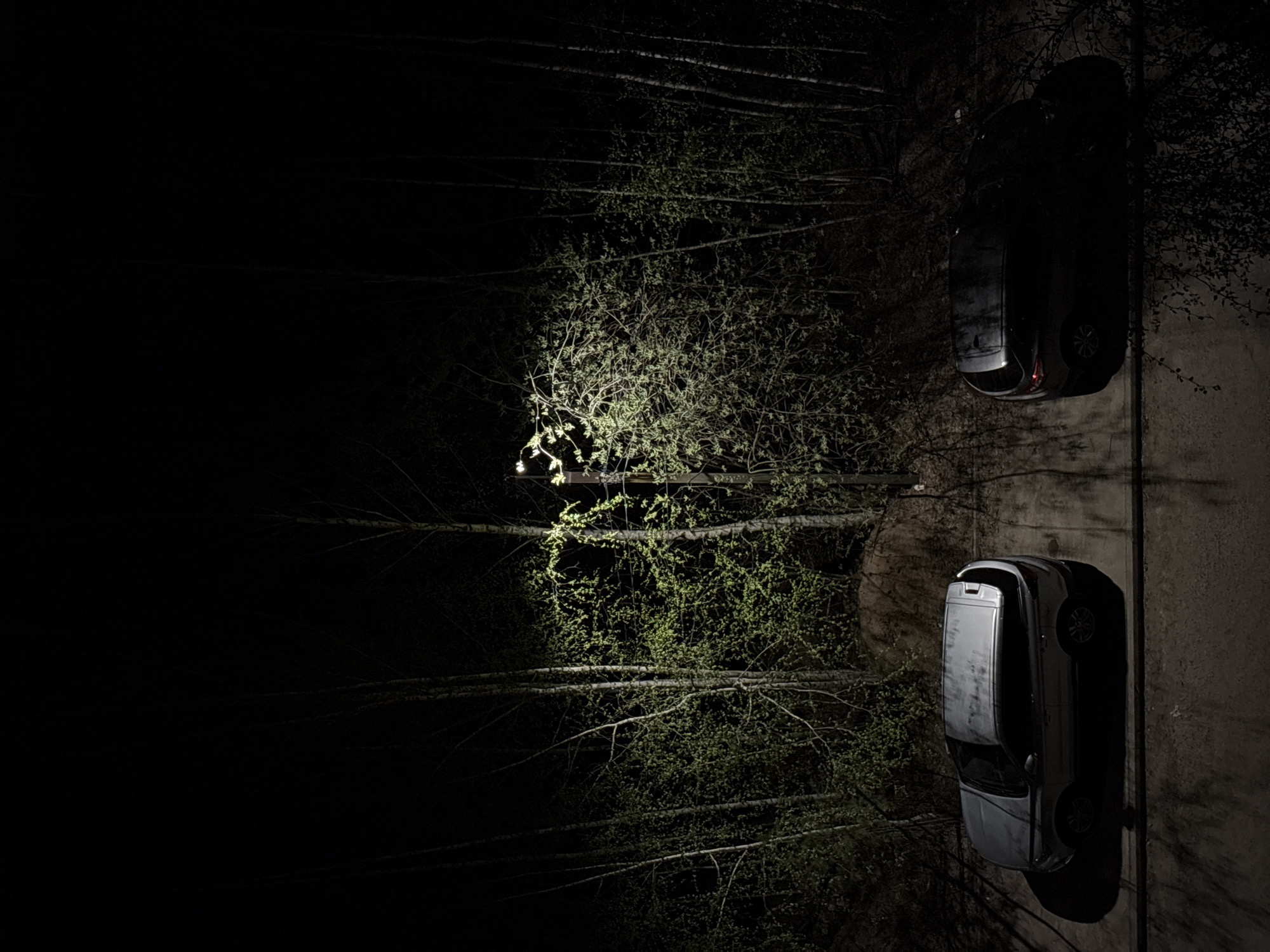 Two cars are parked on a paved surface next to a tree, all illuminated by an unseen light source in the upper-center of the frame. The left side of the image is predominantly dark, with faint outlines of tree branches and foliage visible. The scene is likely outdoors, given the presence of trees and the ambient lighting. The location is in the city of Chaikovsky, Russia.