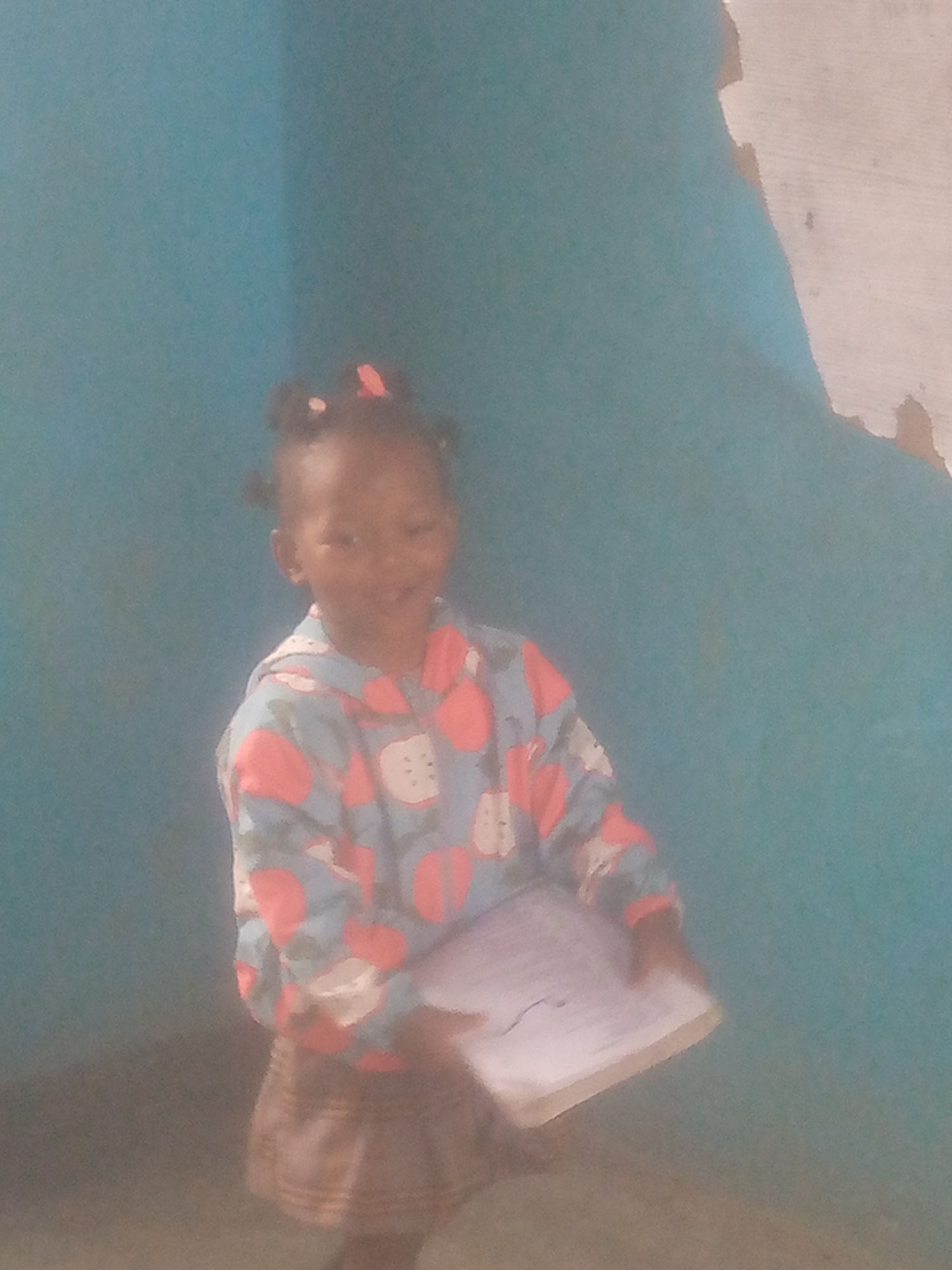 A child stands in front of a blue wall. The child is wearing a light blue long-sleeved shirt with a pattern of red apples. They are also wearing a brown skirt. They are holding a book. The location is Unknown, Unknown.