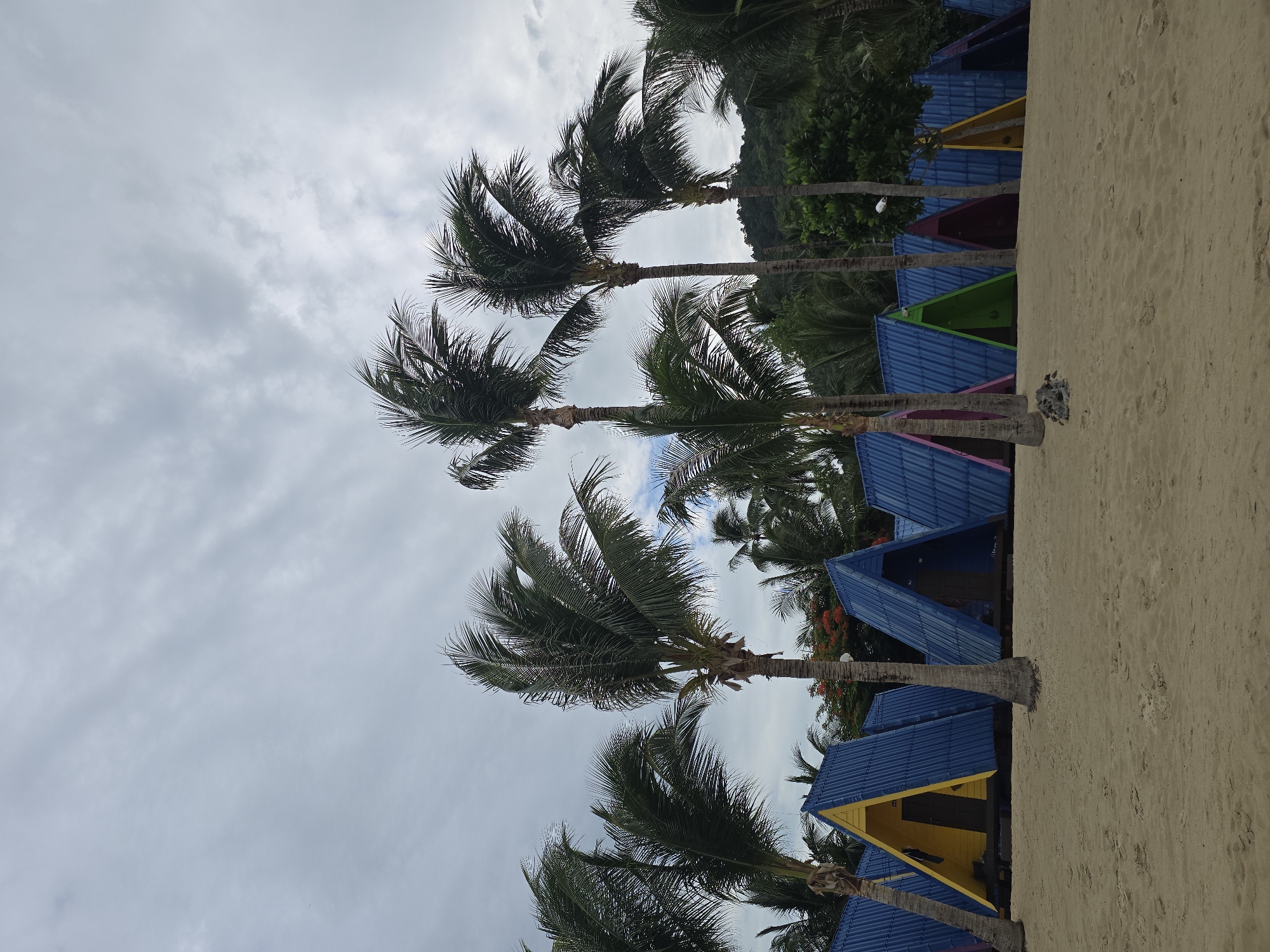 A row of A-frame huts with blue corrugated roofs and brightly colored triangular fronts sits on a sandy beach. Palm trees with fronds blowing in the wind are scattered in front of the huts and in the background. The sky is overcast and cloudy. The huts are arranged in a line, with a yellow-fronted hut to the far left, followed by blue-fronted huts, a green-fronted hut, a purple-fronted hut, a yellow-fronted hut, and more blue-fronted huts extending to the right. The beach is light brown sand with some footprints visible. The scene appears to be a beach resort or camping area.
