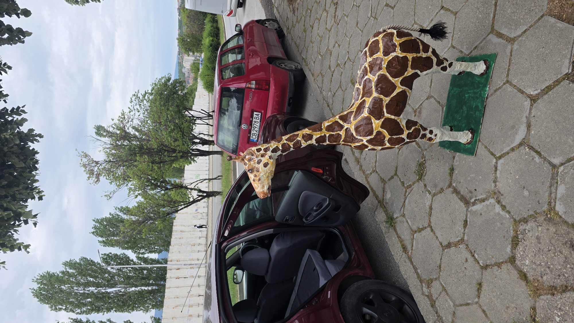 A street scene in Blagoevgrad, Bulgaria, shows a life-size model of a giraffe partially inside a maroon car. The car door is open. A red Volkswagen Polo is parked behind the maroon car. The giraffe is standing on a small, rectangular piece of green material. The background includes trees, a white wall, and buildings in the distance. The ground is paved with hexagonal concrete blocks. The maroon car has a license plate starting with "CB 2978 BA".