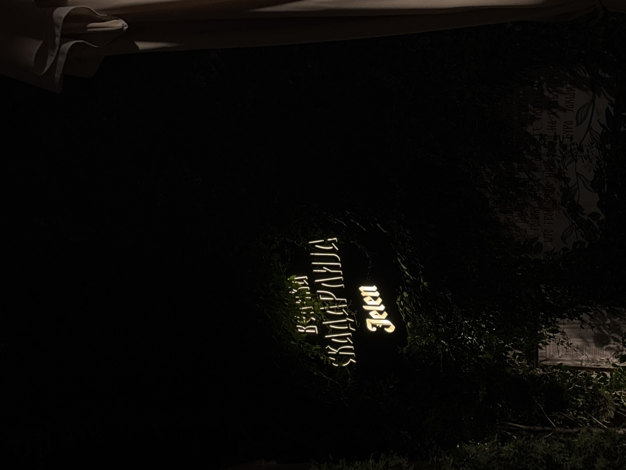 The image shows a nighttime view of a sign for "Београдска Скадарлија Jelen" (Belgrade Skadarlija Jelen), indicating the Skadarlija district of Belgrade, Serbia, and the Jelen brand (likely referring to Jelen Pivo beer). The sign is illuminated with a warm light, seemingly against a backdrop of foliage. A partial view of what appears to be a canopy or awning is visible in the upper-left corner. In the background, slightly to the upper-right, there is a wall or panel with illegible text and designs. The overall environment appears dark and possibly outdoor.