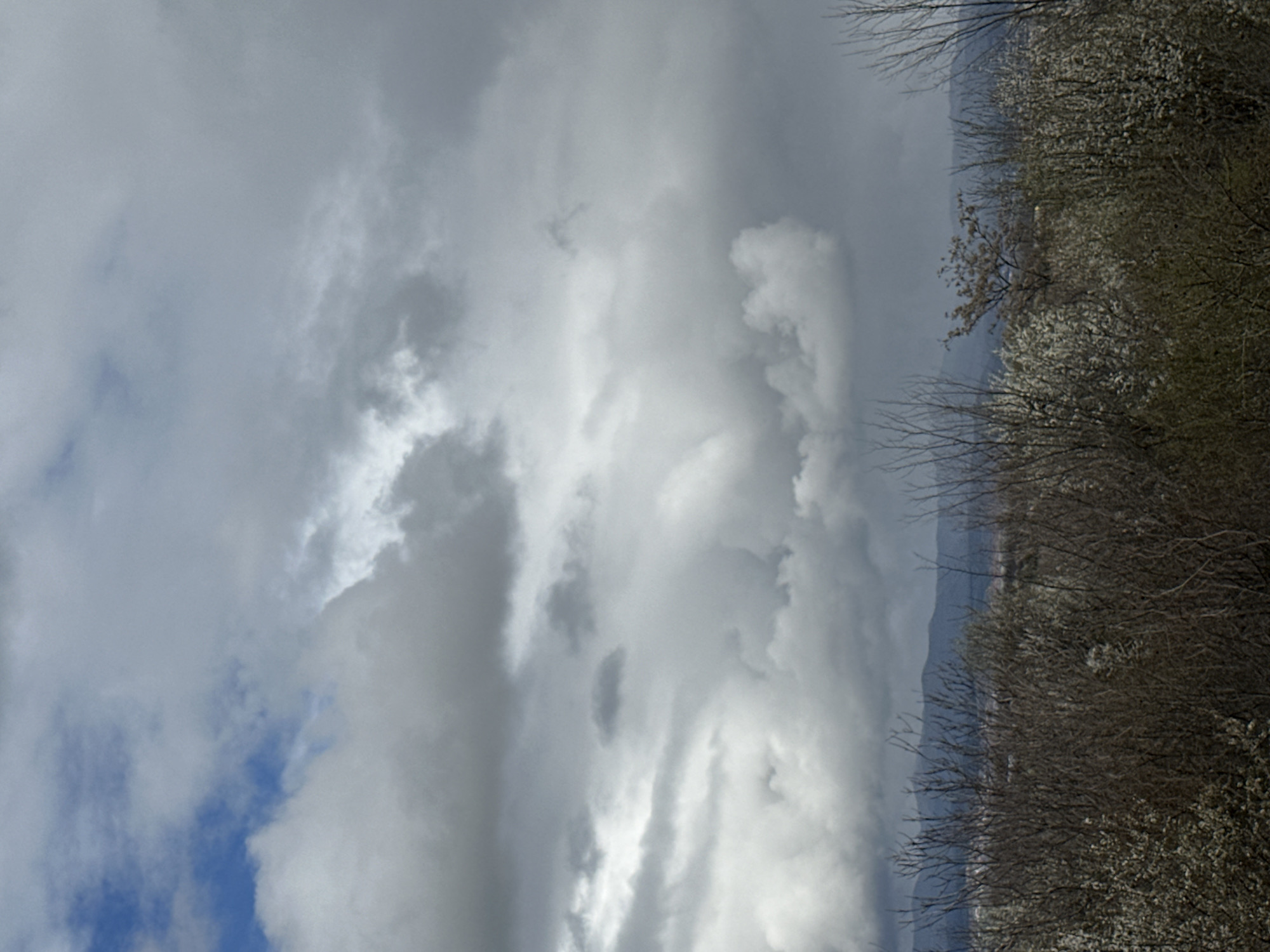 The image depicts a cloudy sky with a glimpse of blue in the lower left. Bare trees and blooming bushes are visible along the right edge of the frame, suggesting a natural or park setting. In the distance, low mountains are faintly visible. The location cannot be determined to be Sofia, Bulgaria, from the information given in the image.