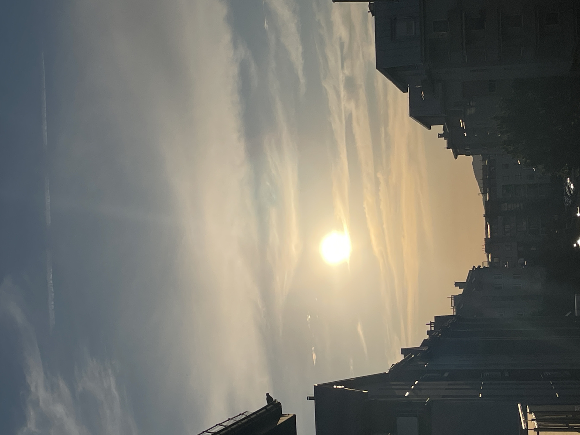 This media file depicts a cityscape at sunset, with the sun prominently featured in the sky. The scene is dominated by buildings that appear to be apartment complexes, with their dark facades contrasting against the bright sky. The buildings are arranged in a way that suggests they are densely packed, creating a layered effect.
The sky is a mix of blue and orange hues, indicative of sunset. Wispy clouds stretch across the sky, some appearing to be tinged with the sun's golden light. A faint contrail from an airplane is visible in the upper left portion of the image.
A notable detail in the foreground is a bird perched on the edge of a rooftop, silhouetted against the sky. This adds a touch of life to the urban scene. The sun itself is a bright, glowing orb, casting a warm light and creating a gentle haze. The overall atmosphere seems peaceful and serene, capturing a quiet moment at the end of the day. There is no visible text in the image.
