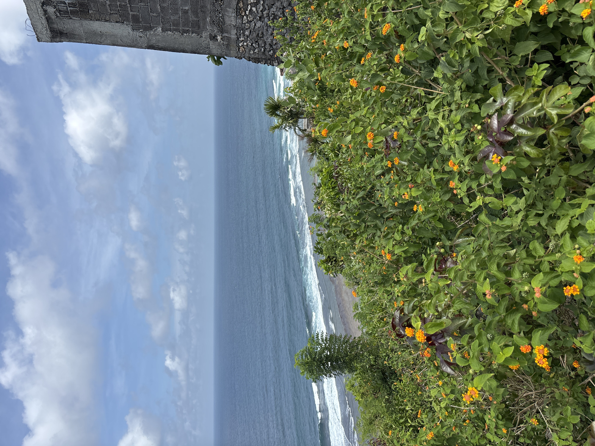 The image depicts a view from a cliffside in Kuta Selatan, Indonesia, overlooking the ocean. Lush vegetation, including green leafy plants with clusters of small orange flowers, covers the cliff's edge. Below the cliff, the ocean stretches to the horizon under a partly cloudy sky. White waves crash on a beach. A section of a concrete structure or wall is visible at the top left corner of the image.