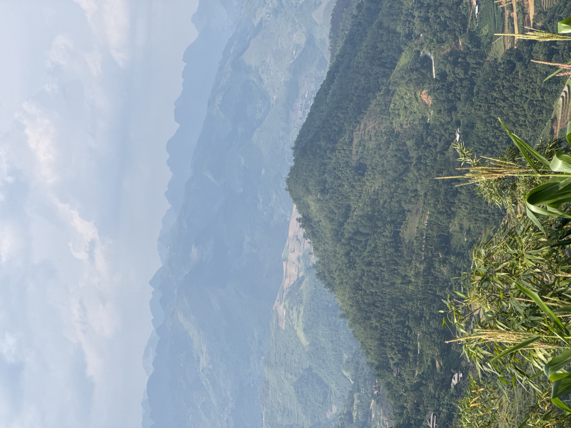 This photograph depicts a mountainous landscape in the Mậu Duệ Commune, Vietnam. The foreground features green vegetation, including tall stalks of corn-like plants with seed heads. The middle ground comprises a series of overlapping, densely forested mountain ridges. Some cultivated terraces or fields are visible along the slopes. The background shows more distant mountain ranges fading into a hazy blue. The sky is overcast with light clouds.