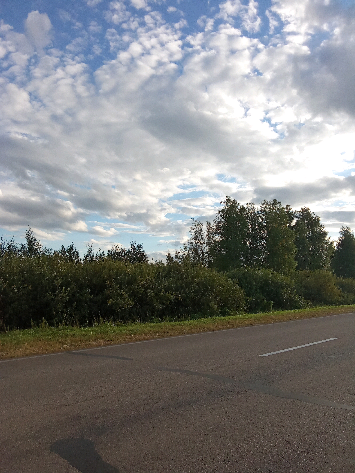 The image depicts a rural roadside scene in Қарақоға ауылдық округі, Kazakhstan. A paved road occupies the foreground, with a white line marking the lane. The roadside shoulder is visible, bordered by a dense line of green trees and bushes. In the background, a mix of green trees and bushes stretches across the horizon, with taller trees in the center. The sky above is a light blue, filled with scattered white clouds, some of which are backlit by the sun, creating a bright, somewhat hazy effect. The overall impression is that of a calm, overcast day in a natural, undeveloped area. There are no people or animals visible in the image.