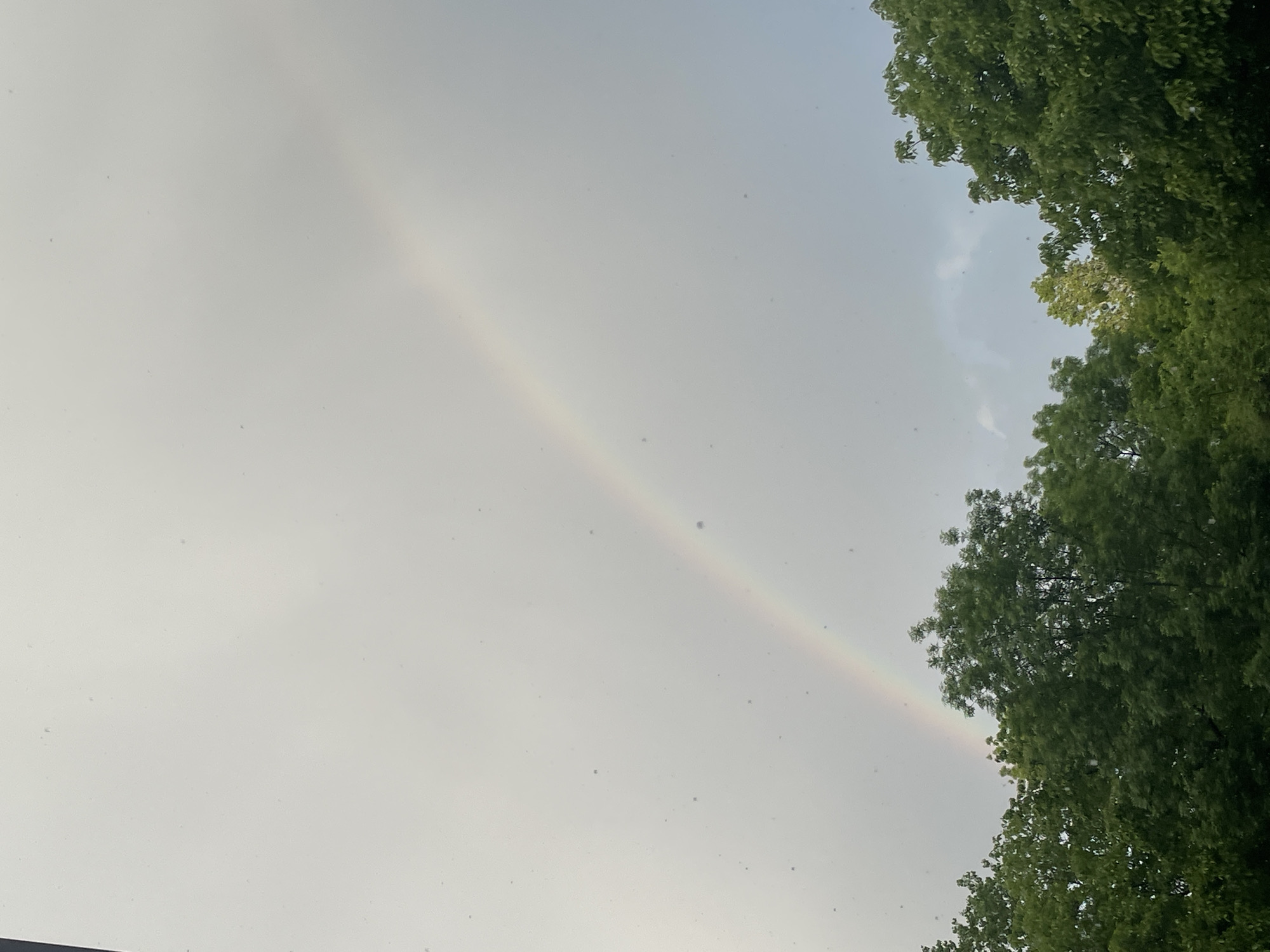 The image shows a faint rainbow in a gray, overcast sky. The rainbow stretches diagonally across the frame, starting near the upper left corner and extending towards the lower right. The colors are muted but discernible. To the right side of the frame, there's a dense cluster of green trees. The sky is filled with many small, dark specks (possibly insects or debris). There is insufficient information to confirm a specific location in the city of Sofia, Bulgaria.