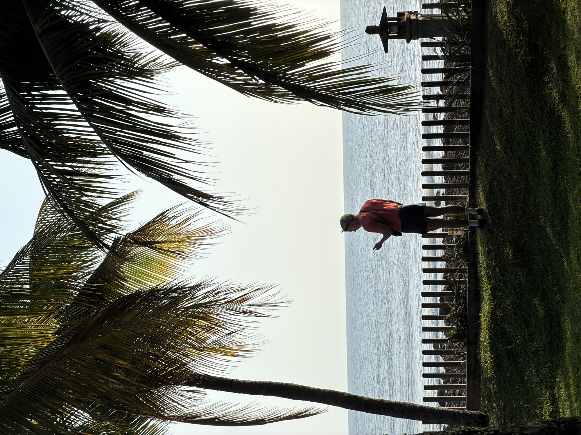 A person stands on a lawn facing the ocean in Pekutatan, Indonesia. The person is wearing a red t-shirt and dark shorts, and is holding a phone in their right hand. Behind the person, there is a wooden fence with a stone Japanese lantern to the right. The ocean is calm and the sky is clear. Palm trees are visible in the foreground and background. The scene appears to be a resort or a park.