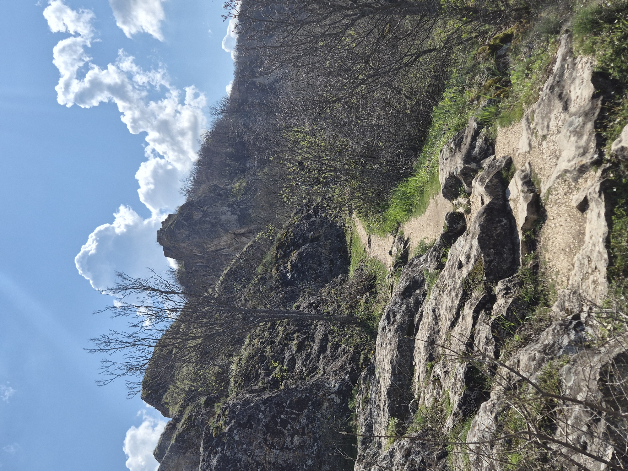 The image depicts a rocky landscape with a narrow path running along the edge of a cliff. The path is covered in light-colored gravel. To the right of the path is a steep, rocky slope with some vegetation, including grass and small bushes. The vegetation appears to be sparse and adapted to the rocky environment. To the left of the path, the terrain slopes downwards into a valley. A bare tree stands on the side of the cliff. Above and to the left, there is a view of a blue sky with white, puffy clouds. The image is taken during the daytime, with natural lighting illuminating the scene. Based on the rocky landscape and the presence of cave churches, the image is likely from the Rock-hewn Churches of Ivanovo, a UNESCO World Heritage Site near Ivanovo, Bulgaria. There are no people visible in the image.