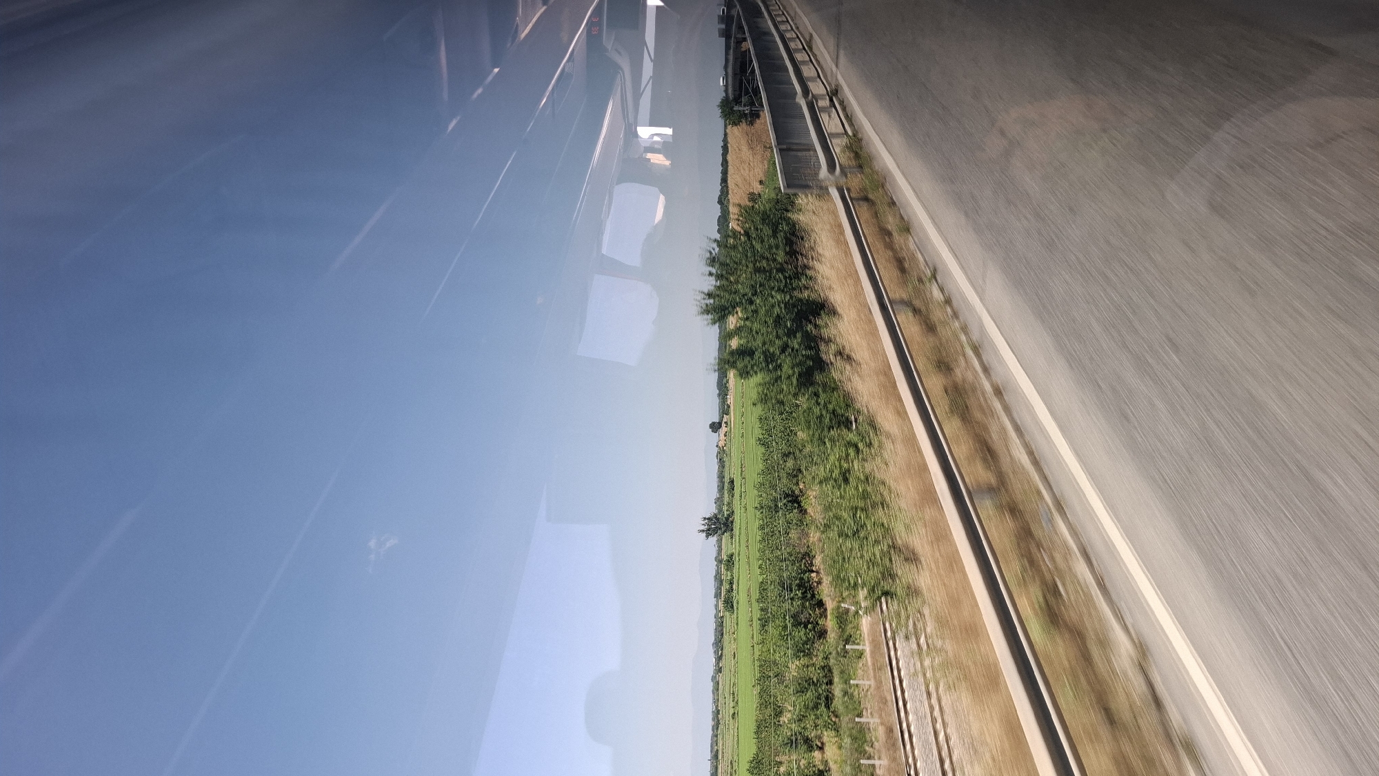 This is a photograph taken from a moving vehicle, likely a train or bus, looking out a window. The foreground consists of a blurry asphalt road with a white line marking its edge, indicating movement. A metal guardrail runs parallel to the road, separating it from a strip of dry grass and vegetation. Beyond this, a landscape unfolds with a railway track on the left side, partially obscured by dry grass. The middle ground is dominated by lush green fields, with rows of trees and some scattered buildings in the distance. A few more trees are visible in the mid-ground, with one particularly tall, distinctive tree standing out. The sky is a clear, pale blue with faint contrails visible. Reflections of the vehicle's interior, including seating and possibly passengers, are visible on the window. The overall scene suggests a rural or semi-rural environment during the daytime. The image does not contain specific landmarks or details that would definitively place it in Skutare, Bulgaria.