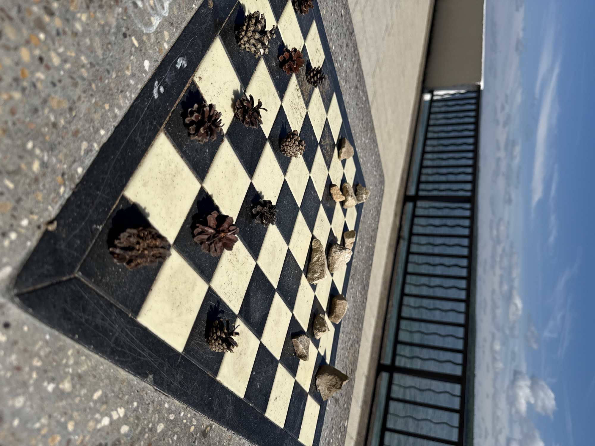 A chessboard is set up on a speckled concrete surface outdoors, with a body of water and a cloudy blue sky in the background. The chessboard is black and cream-colored, with some wear visible. Instead of traditional chess pieces, pinecones and stones are scattered across the board. The pinecones vary in size and color, from small, dark ones to larger, lighter brown ones. The stones are light brown and appear to be rough-hewn. A black railing separates the chessboard area from the water. The scene is lit by natural sunlight, casting shadows on the chessboard. There are no people visible in the image. The location is identified as being in the city of Chaikovsky, Russia.