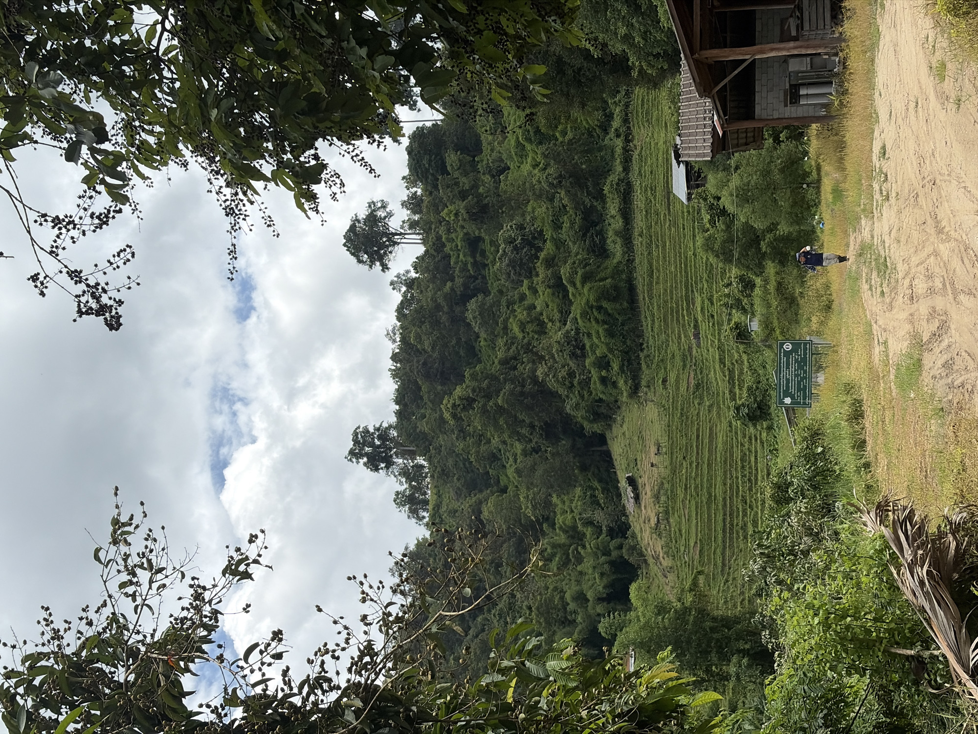 An outdoor, eye-level, full shot captures a rural scene in Mae Win, Thailand, on a cloudy day. In the foreground, a sandy dirt road curves to the right. To the left of the road, a person is walking away from the camera, carrying a backpack over their right shoulder. They are wearing a blue plaid shirt and gray pants. To the right of the road is a rustic, open-sided building with a corrugated metal roof and cinder block walls. The background features lush green terraced fields on a hillside, with dense jungle and trees covering the upper slopes. The sky is overcast with patches of blue.