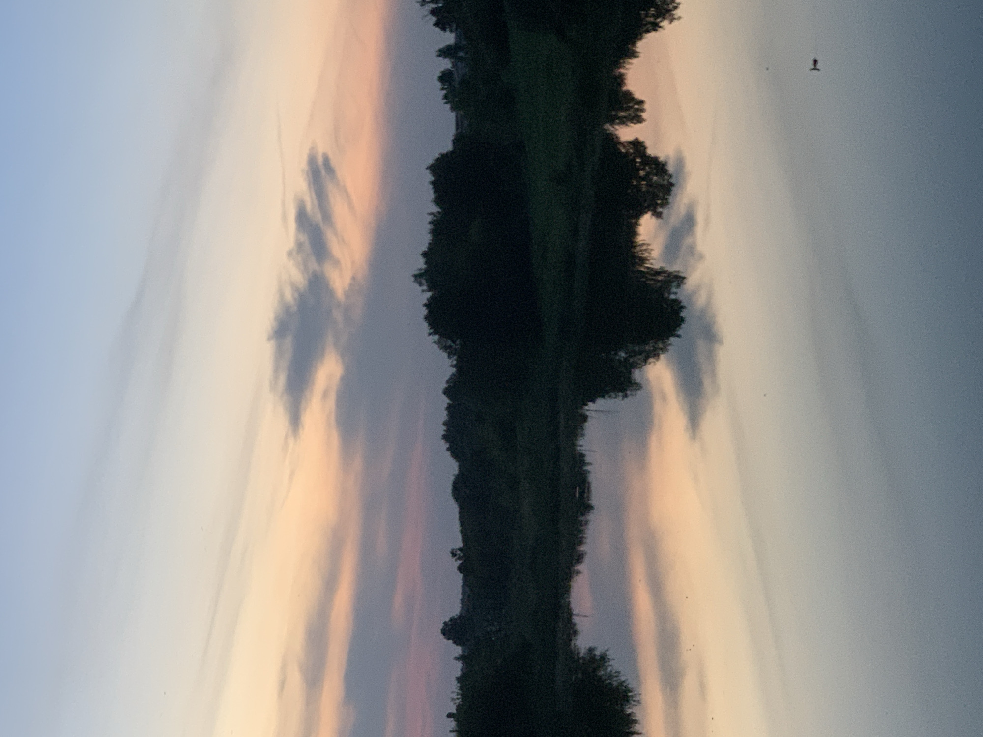 The image depicts a serene natural scene at dusk, likely taken in Kapyĺ, Belarus. A tranquil body of water dominates the foreground, reflecting the soft hues of the sunset sky and the dark silhouette of a tree-lined shore. The sky above transitions from a pale blue at the top to shades of peach and pink where the sun has set. Wispy clouds are scattered across the sky, their undersides catching the last light of day. The shoreline is densely wooded, with the dark shapes of trees creating a stark contrast against the illuminated sky. The water's surface is calm, with minimal ripples, allowing for a clear and symmetrical reflection of the landscape above. A small, dark object, possibly a bird or a buoy, is visible on the far right of the water. The overall atmosphere is peaceful and contemplative.
