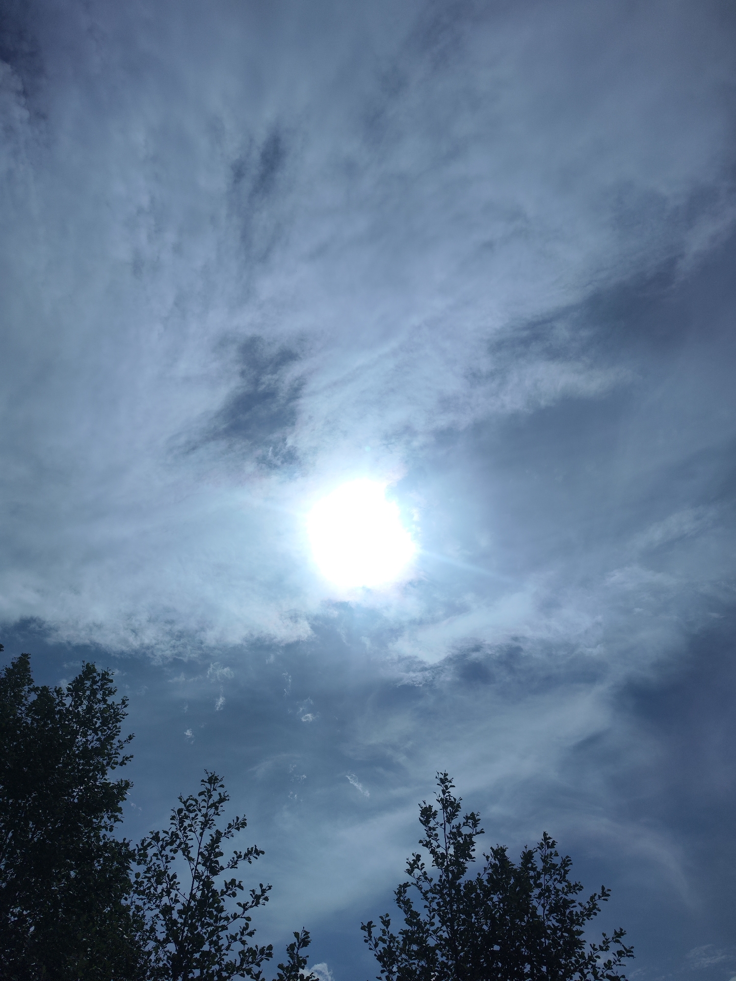 The image shows a daytime view of the sky with the sun visible through a layer of thin, streaky clouds. The sun appears as a bright, diffused orb. In the lower portion of the image, the silhouettes of trees with leaves can be seen against the bright sky. Given the prompt, the location is presumed to be Chaikovsky, Russia, although this cannot be directly verified from the image. No people or actions are visible. The environment is mostly sky with some tree foliage in the foreground.