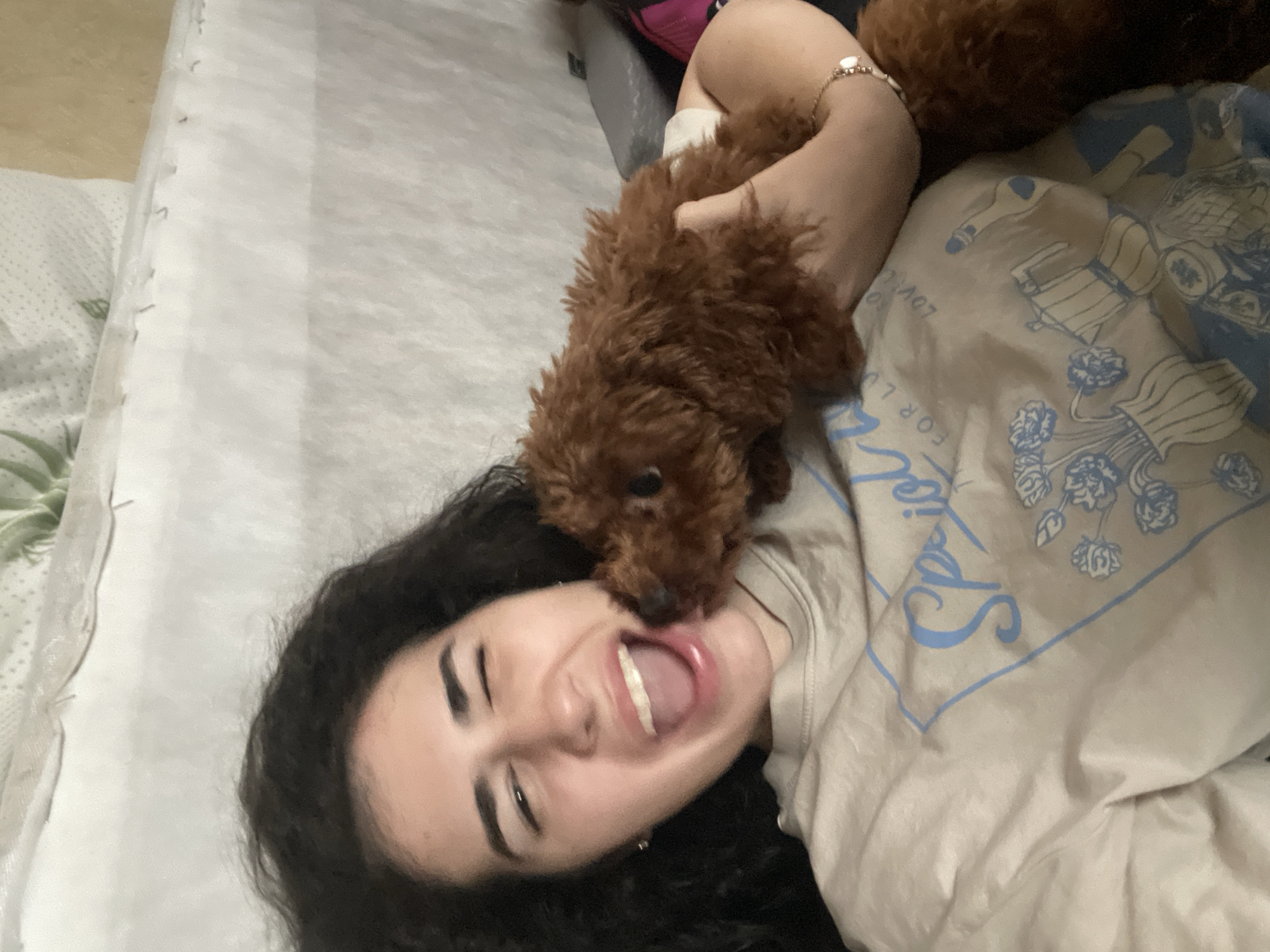 A young woman with dark, curly hair is lying on a bed, smiling with her mouth open. A small, brown poodle is perched on her chest, close to her face. The woman is wearing a beige t-shirt with blue lettering and designs. The bed has white sheets. The location cannot be verified using the image provided.