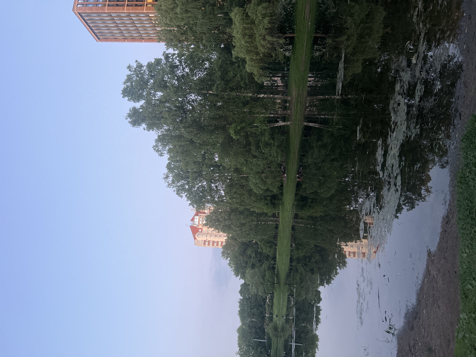 The image captures a serene park landscape in Unknown, Russia, featuring a calm body of water reflecting the surrounding environment under a clear, light blue sky. On the right, a tall, modern residential building with a reddish-brown facade and numerous windows is partially visible above a dense line of green deciduous trees. Further to the left, another multi-story residential building with a light-colored exterior and a prominent red sloped roof rises above the distant treeline. The far bank of the water body is densely covered with lush green trees, including several birches with distinct white bark, all clearly reflected on the water's surface. The water itself is partially covered with patches of floating green aquatic vegetation. In the immediate foreground, a dark earth bank transitions into short green grass along the bottom edge of the frame. Several indistinct human figures are visible on the grassy bank across the water, scattered among the trees, suggesting leisure activity. The scene is evenly lit by soft, ambient daylight.
