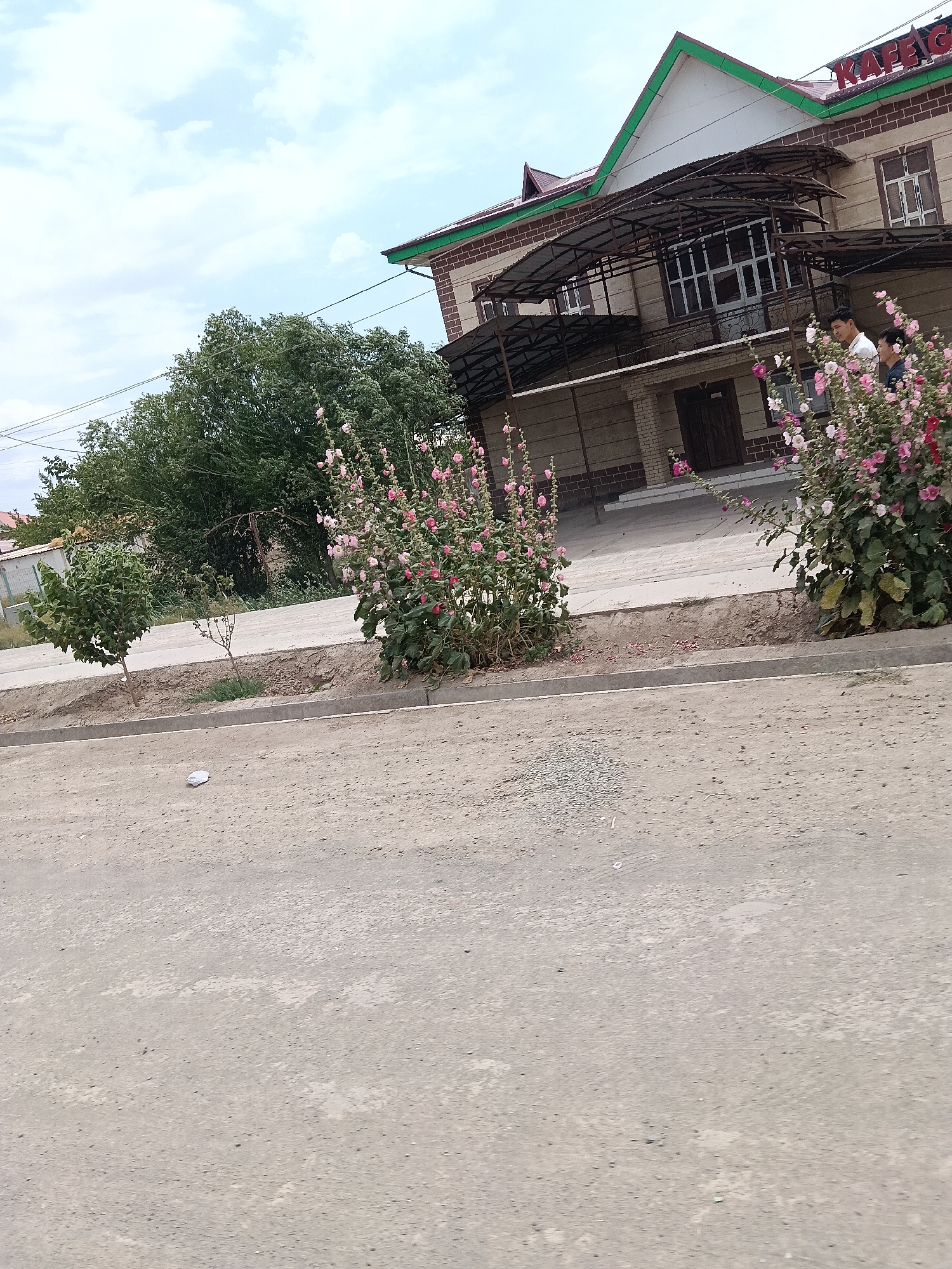 A medium shot shows a brick building with a green-trimmed roof and a sign reading "KAFA". The building has multiple levels with awnings and windows. In front of the building, two young men stand near a bush with pink flowers. To the left of the building, there are trees and a smaller structure. The foreground shows a dirt road with a curb and some gravel. The scene appears to be in Kungrad, Uzbekistan, a city in the Republic of Karakalpakstan, known for its position along the Aral Sea.