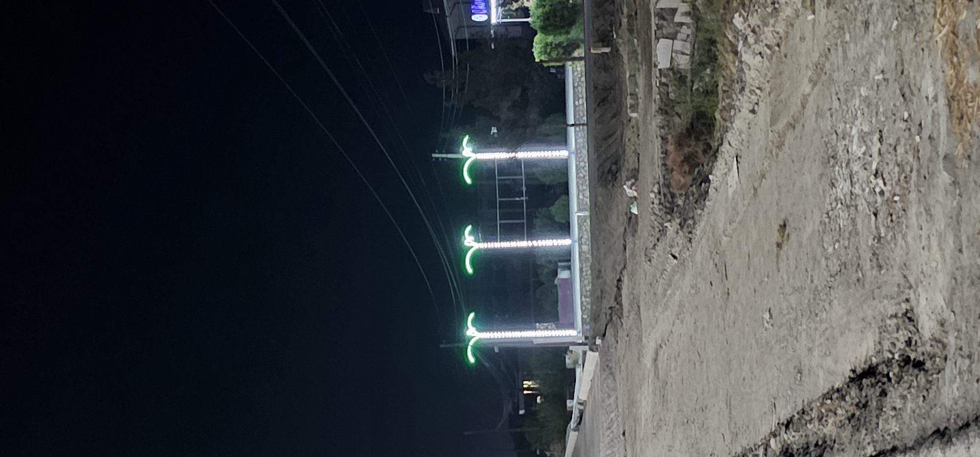 At night in Sheyhancha, Uzbekistan, three decorative palm trees illuminated with green lights stand in front of a building that appears to be a commercial establishment. The building has a sign with blue lettering. The foreground shows a construction site with a dirt road and piles of debris. Power lines are visible overhead.