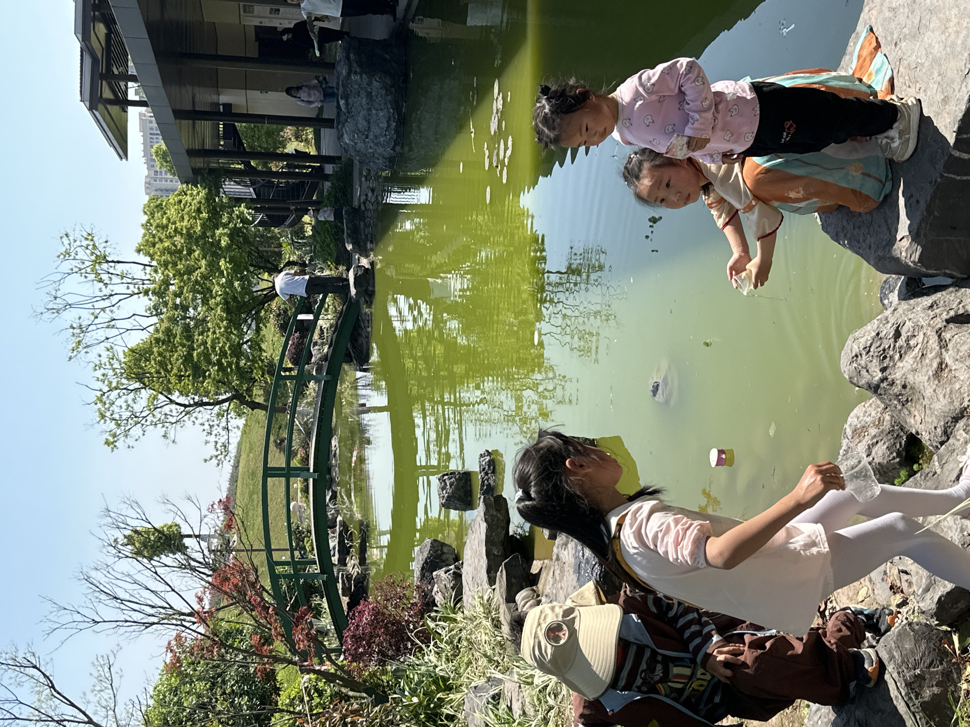 The image shows a pond in a park in Jiangjin, China. Three young girls are by the pond. Two are standing on a rock near the water, looking into the pond. One is sitting on a rock near the pond, holding a clear plastic cup. There is a bridge over the pond. The water is green. There are rocks around the pond's edge. A building is behind the pond.