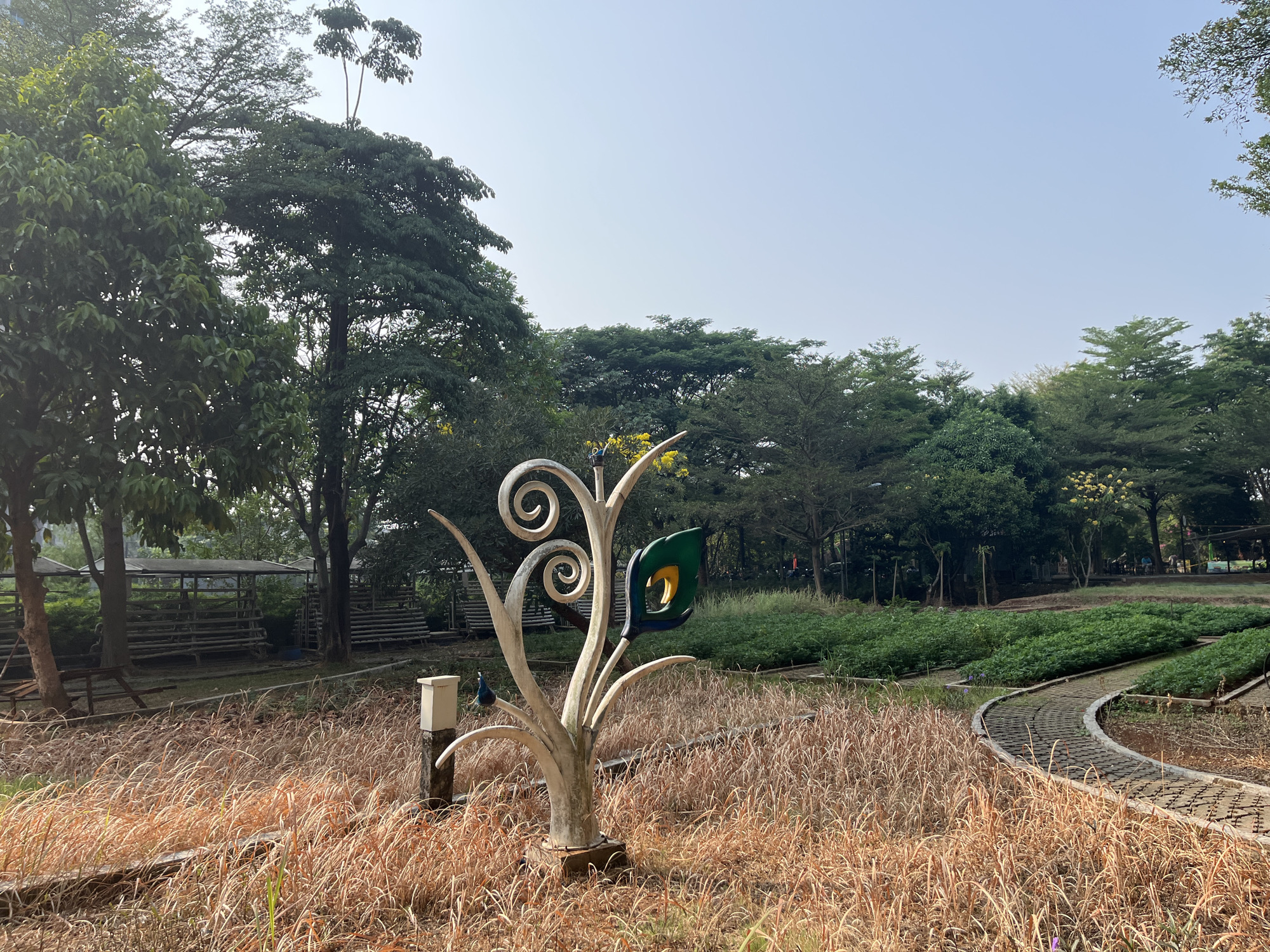 The image depicts a park scene at Taman Bambu Apus in East Jakarta, Indonesia. In the foreground, dry, golden grass covers the ground. A stylized, light-colored tree sculpture with swirling branches stands prominently in the center. A small, blue peacock figurine is perched on one of the sculpture's branches, and a green and blue peacock feather motif adorns another branch. To the right, a curving pathway made of interlocking bricks winds through the park. Beyond the grass and sculpture, a meticulously maintained garden bed filled with lush green plants is visible, arranged in neat rows. In the background, a dense line of trees with varying shades of green foliage forms the perimeter of the park. A wooden structure, possibly a shelter or animal enclosure, is situated among the trees on the left side of the image. The sky is clear and pale blue. No people are clearly visible in the frame.