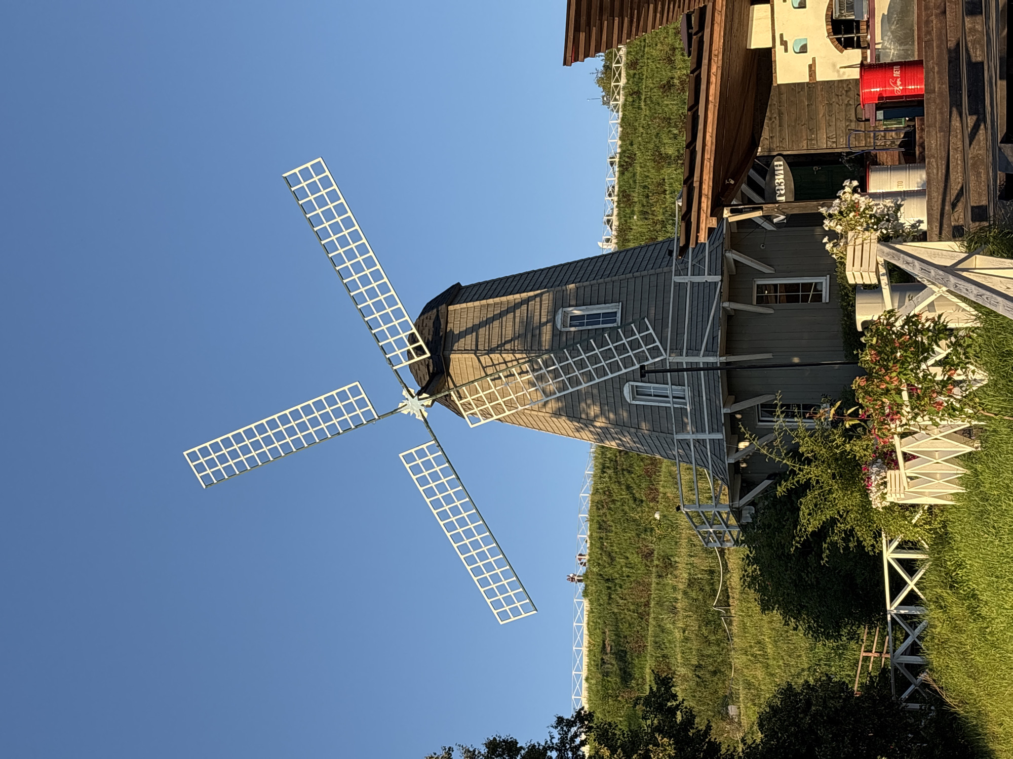 The image depicts a picturesque scene in Romashkovo, Russia, featuring a charming Dutch-style windmill as the central subject. The windmill, constructed of weathered grey wooden planks, stands tall with its four white lattice sails extended against a clear blue sky. The sails are divided into rectangular sections by thin white bars.
The windmill's base has a circular design with several windows and a balcony or walkway that encircles the structure, featuring a white wooden railing. A wooden staircase leads up to a covered area next to the windmill, where a building with a rustic wooden facade is visible. This building appears to be a shop or a cafe, indicated by the word "МАГАЗИН" (MAGAZIN, meaning "shop" in Russian) written in Cyrillic script on a sign above the entrance.
In front of the building, there are several objects including two white cylindrical barrels, one red cylindrical barrel with Russian lettering that appears to say "ЛЕТО" (LETO, meaning "summer"), and some wooden crates containing white flowers. A wooden fence, painted white and featuring a lattice design, runs along the foreground, separating the grassy area from the structures.
The windmill is situated on a gentle, grassy slope. Several small figures of people can be seen on the crest of the hill behind the windmill, standing near a white fence that runs along the top of the incline. Lush green grass covers the ground and the hillside, and various bushes and flowering plants add to the vibrant, natural setting. The sunlight casts long shadows, indicating it is either early morning or late afternoon, suggesting pleasant weather.