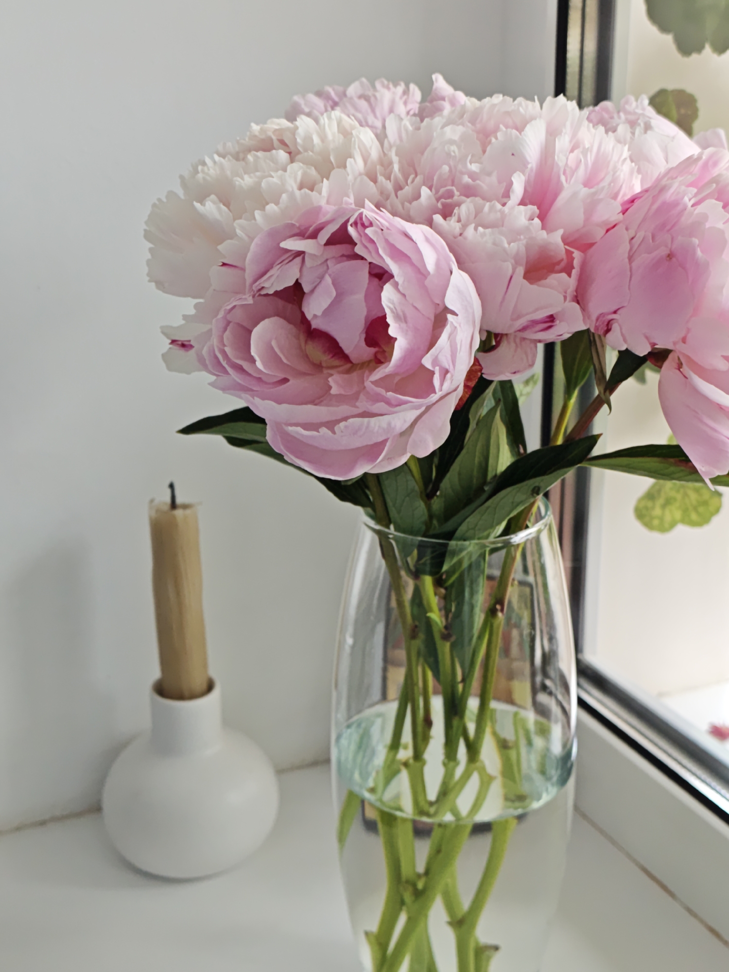 A tranquil indoor scene in Vinnytsia, Ukraine, showcases a vibrant bouquet of peonies set on a white surface, likely a windowsill or table. The central focus is a large arrangement of lush pink and white peonies, their petals soft and full, occupying the right side of the frame. The flowers are held in a tall, clear glass vase, through which their green stems are visible submerged in water.
To the left of the vase, an unlit, light brown candle stands upright in a minimalist white spherical candle holder, adding a touch of rustic simplicity to the composition. The background is predominantly a plain white wall, providing a clean and bright setting that highlights the colors of the flowers.
Natural light, presumably from a window on the right, illuminates the scene, suggesting it is daytime. A dark window frame and faint hints of outdoor greenery are visible in the background on the right, hinting at the external environment. The overall atmosphere is serene and aesthetically pleasing, emphasizing natural beauty and a clean interior design. No text is visible in the image.